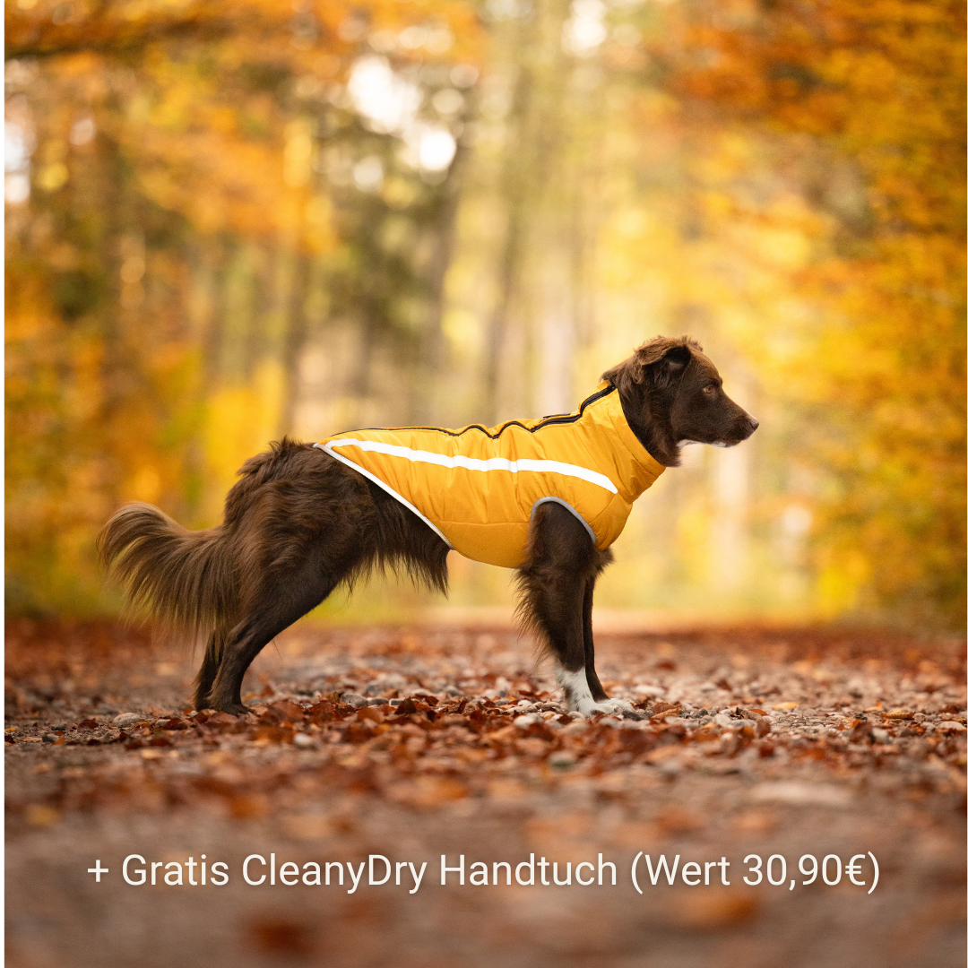 Thermo Fleece Hundemantel & CleanyDry
