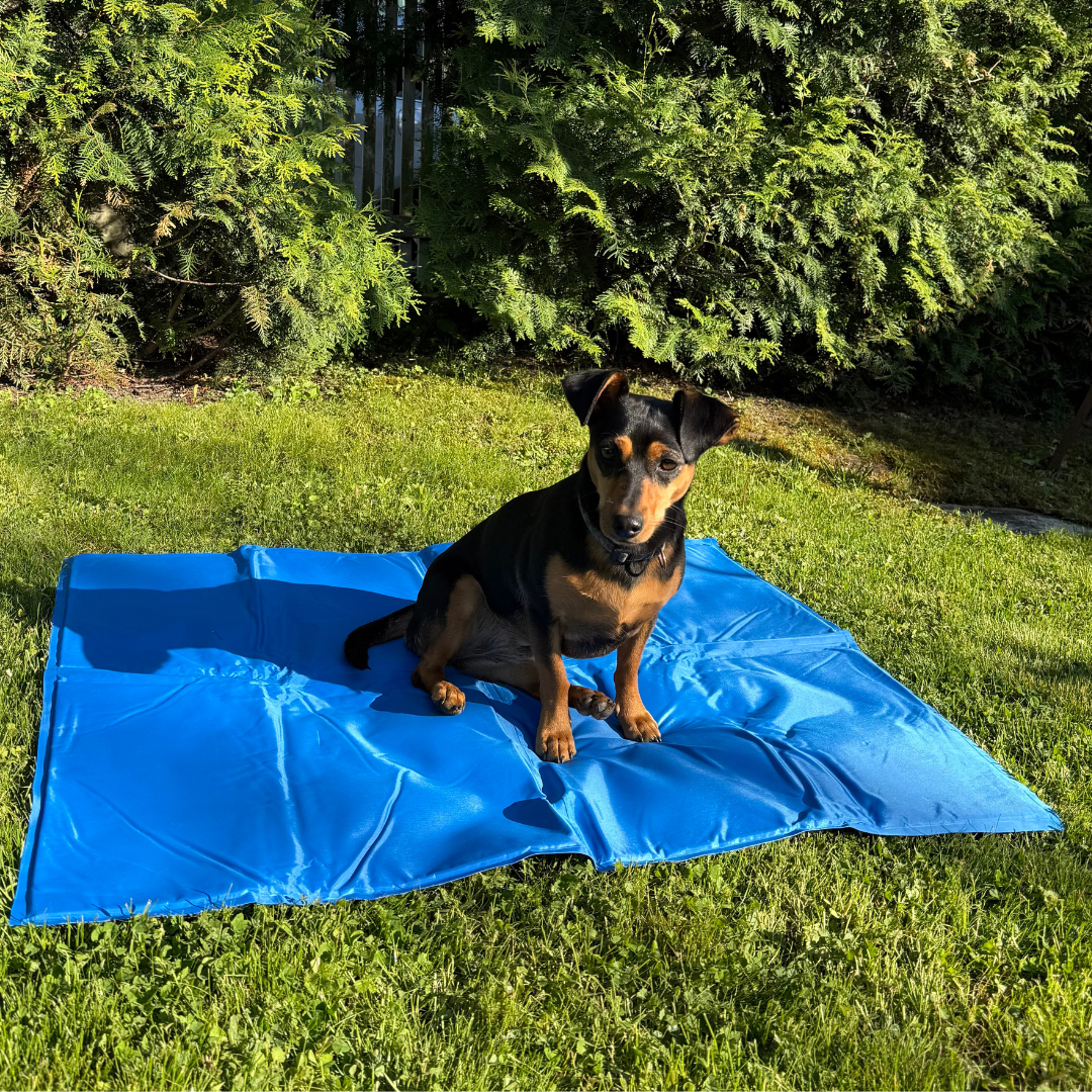 FreezePad - Kühlmatte