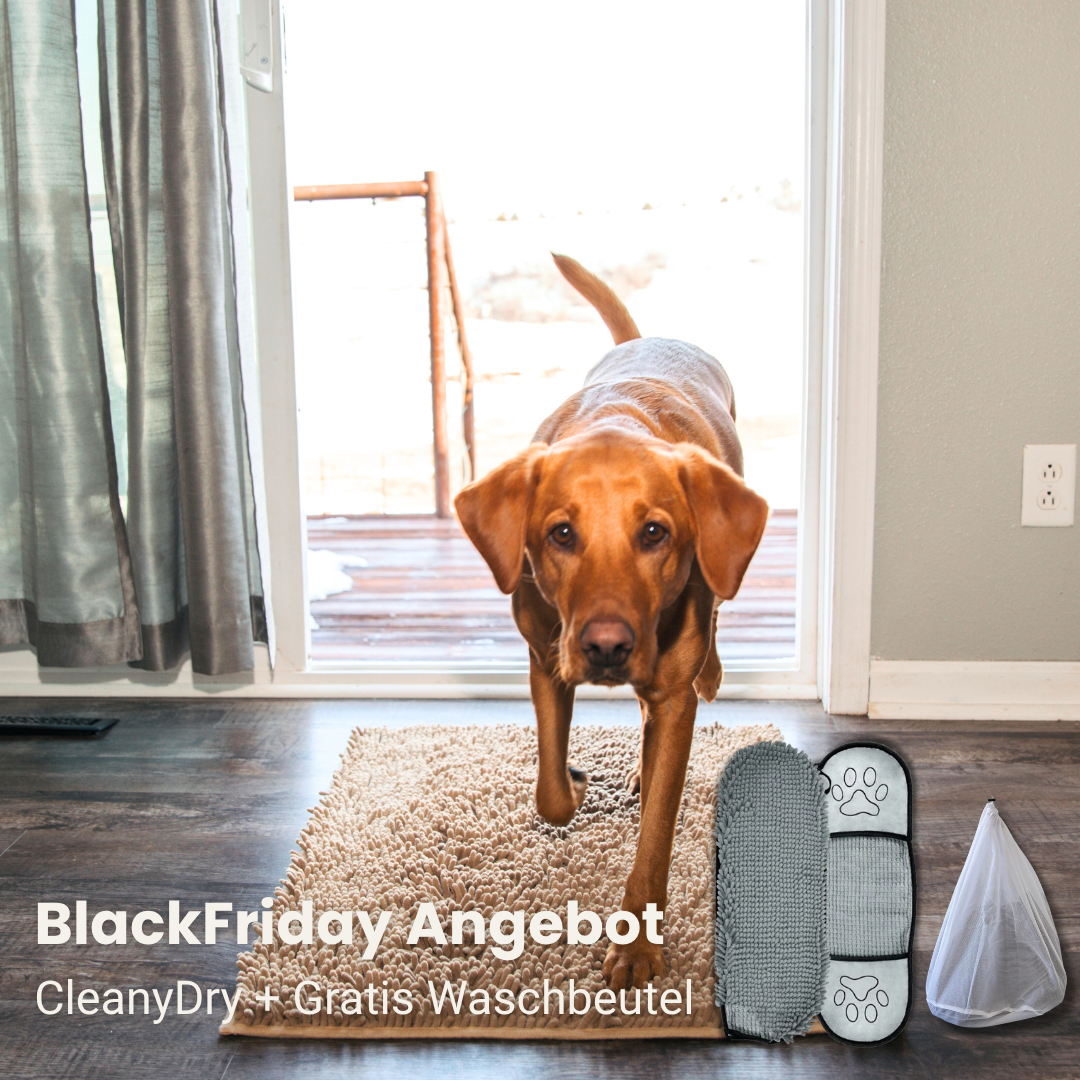 CleanyMat und CleanyDry & Gratis Waschbeutel