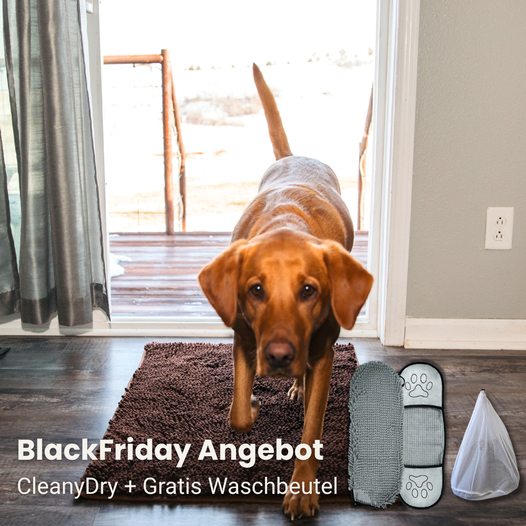 CleanyMat und CleanyDry & Gratis Waschbeutel