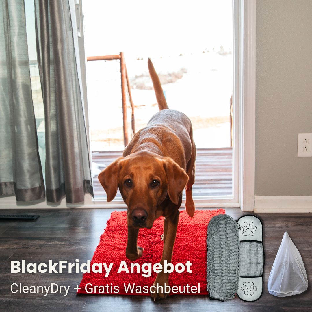 CleanyMat und CleanyDry & Gratis Waschbeutel