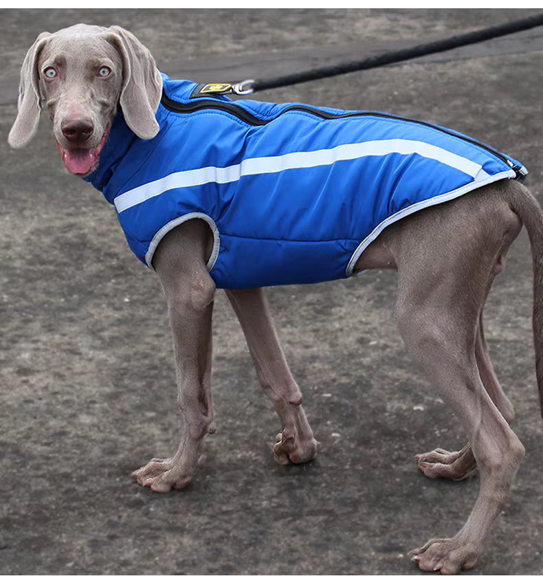 Active+ Thermo Fleece Hundemantel