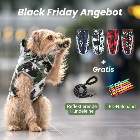 Black Friday Angebot
