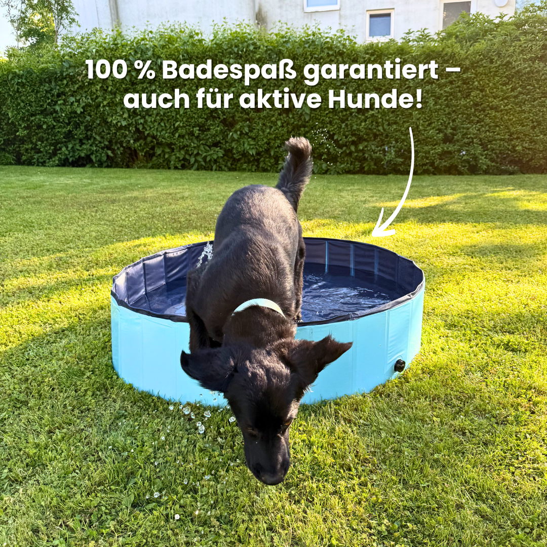 DogSplash - Hundepool