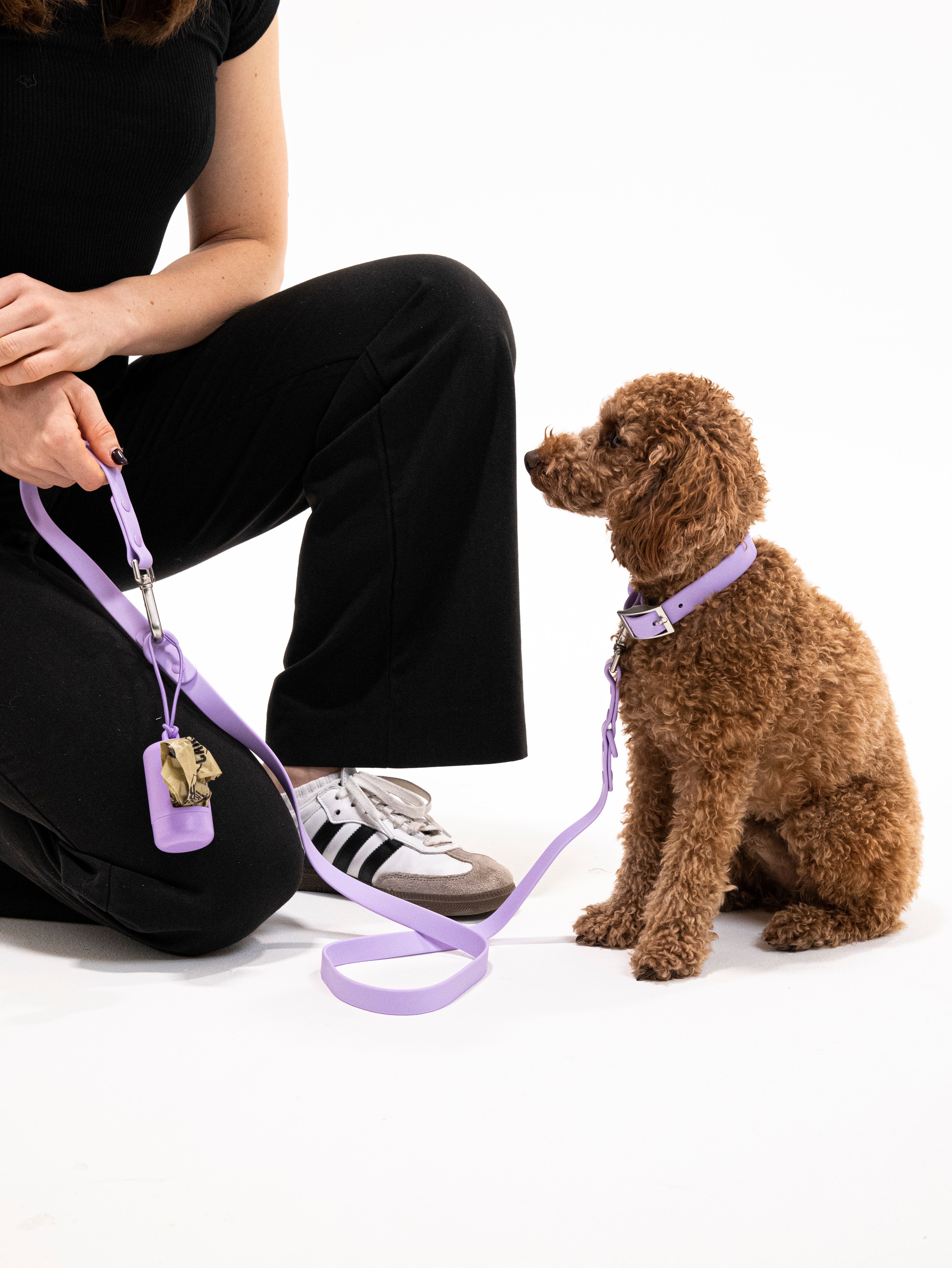 Lavendeltraum Velvy Leine