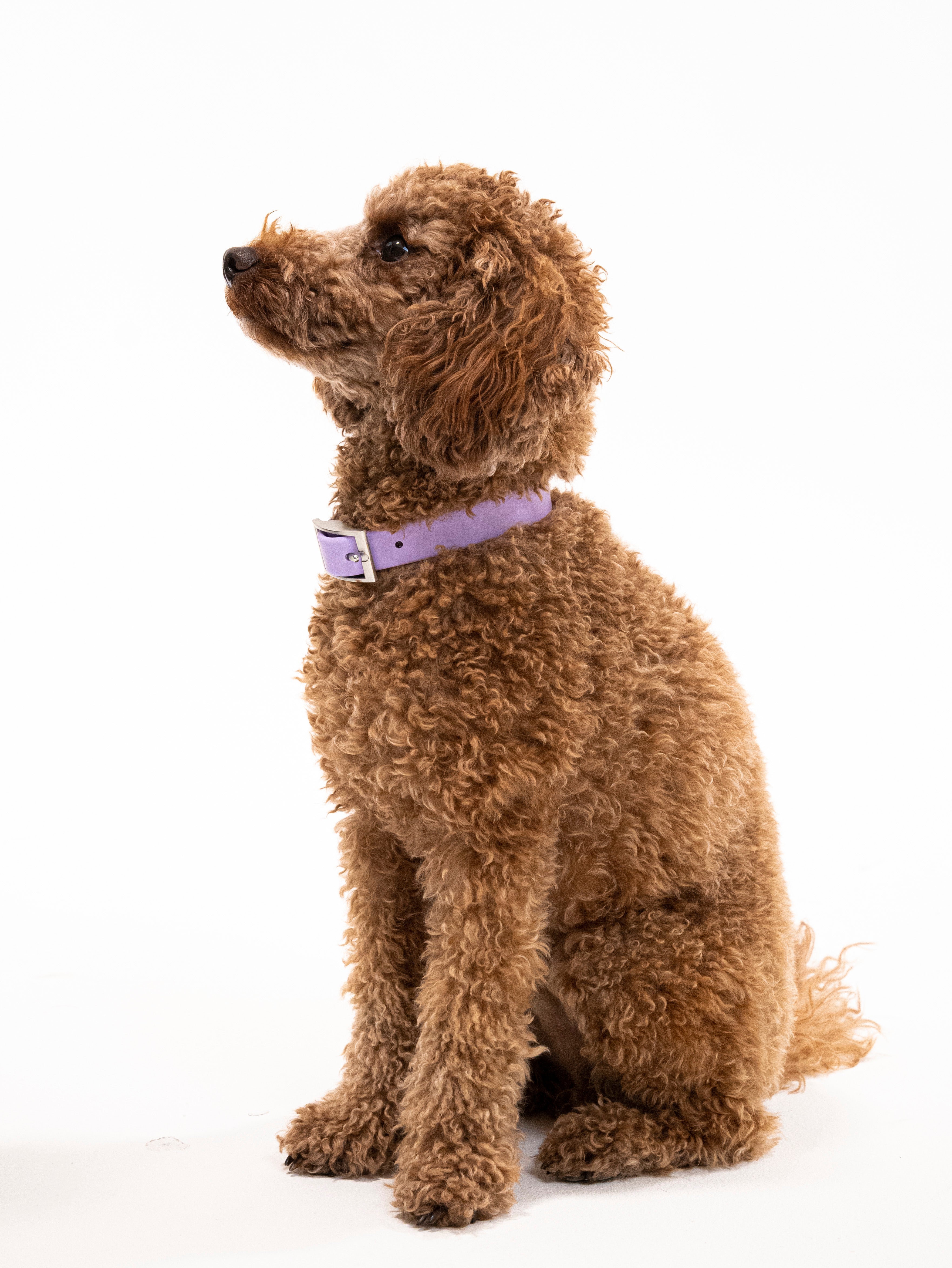 Lavendeltraum Velvy Halsband