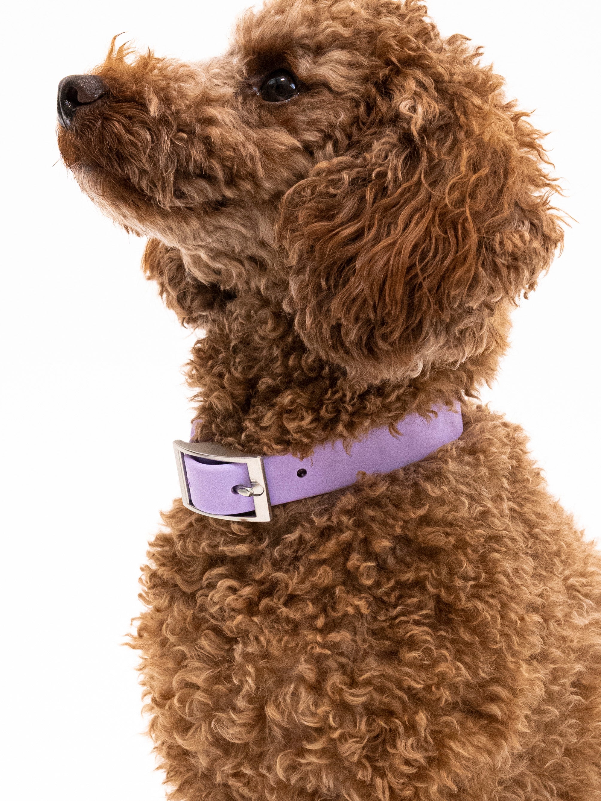 Lavendeltraum Velvy Halsband Set