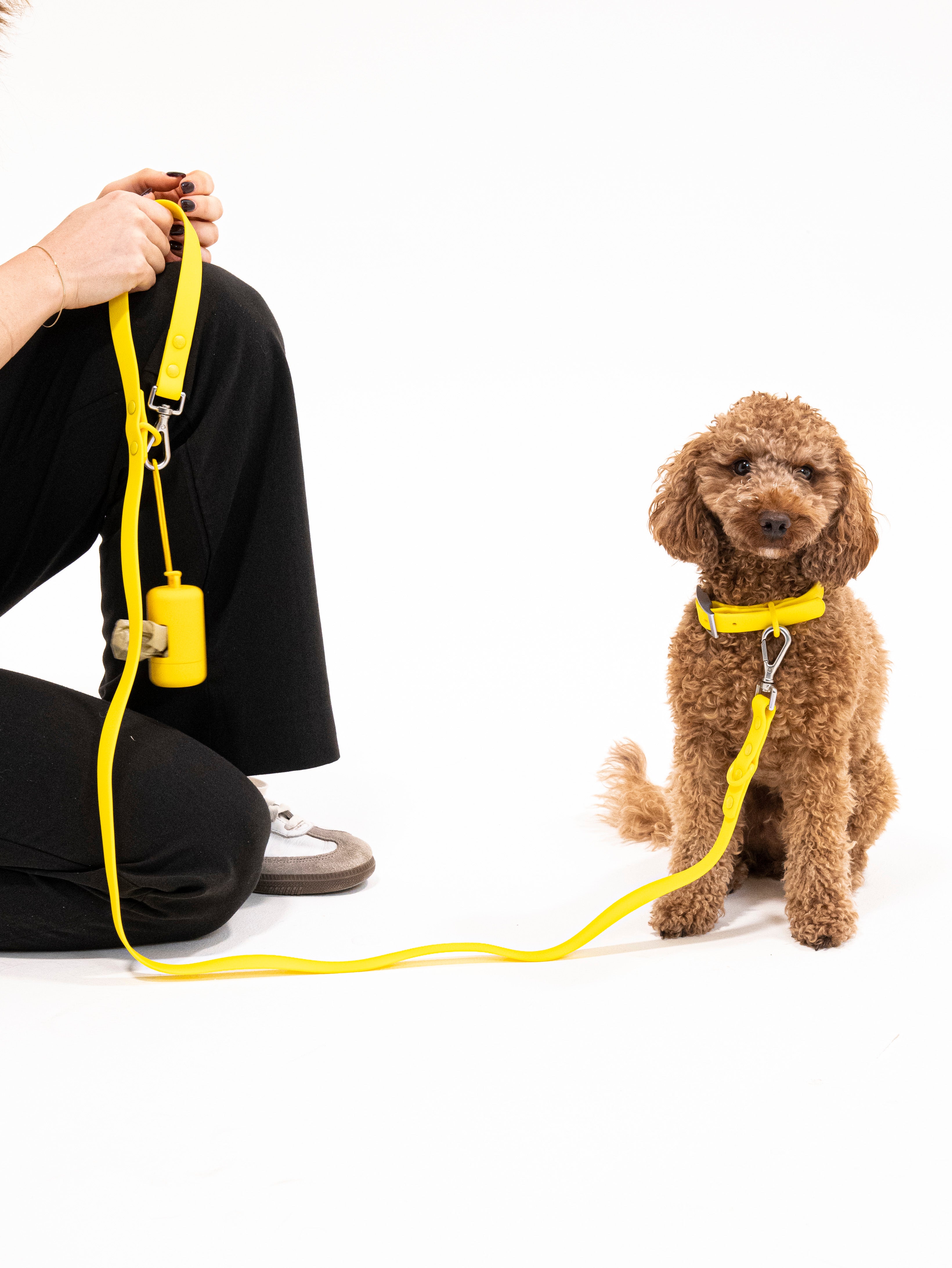 Sunny Soul Velvy Leine