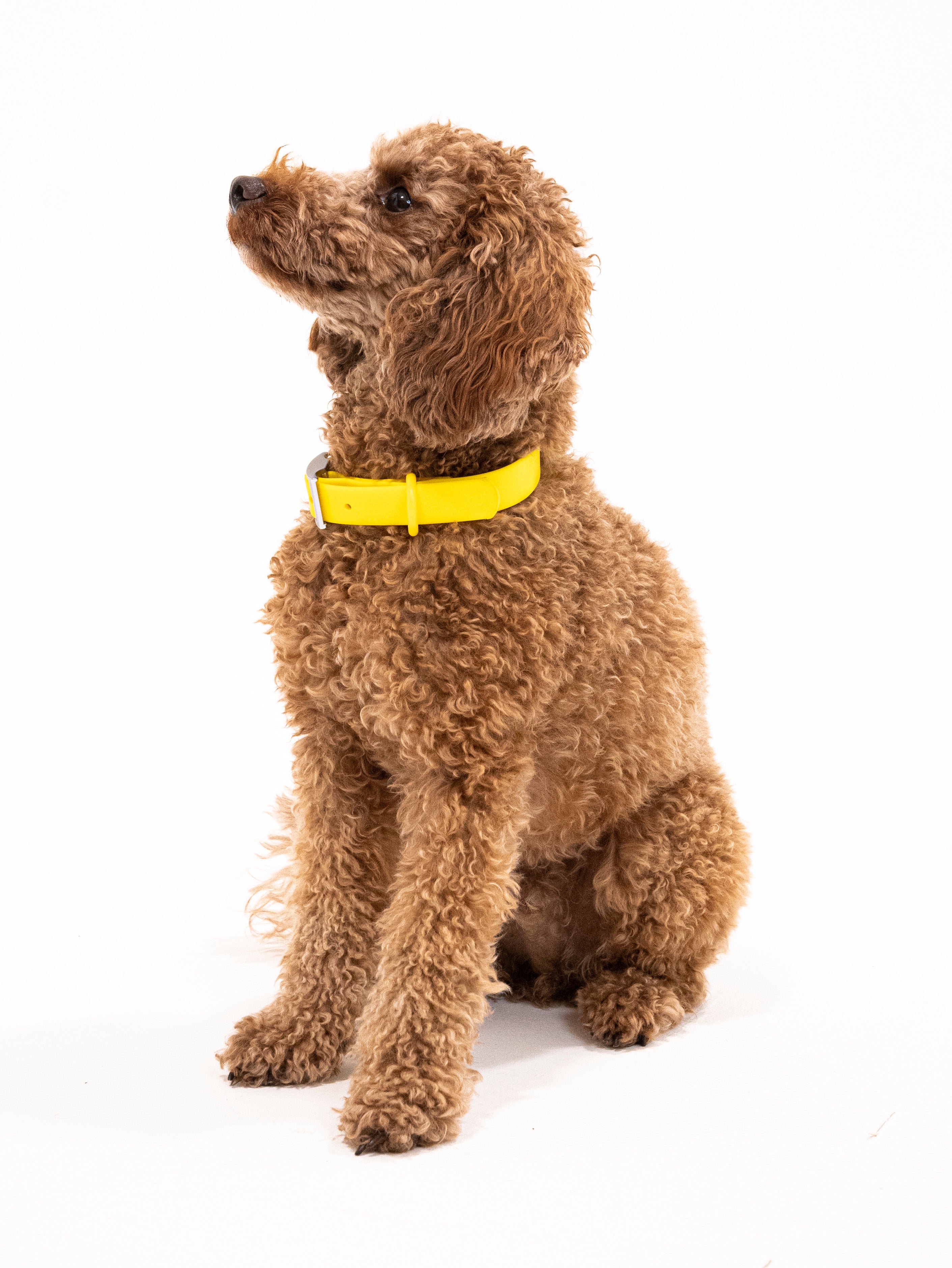 Sunny Soul Velvy Halsband Set