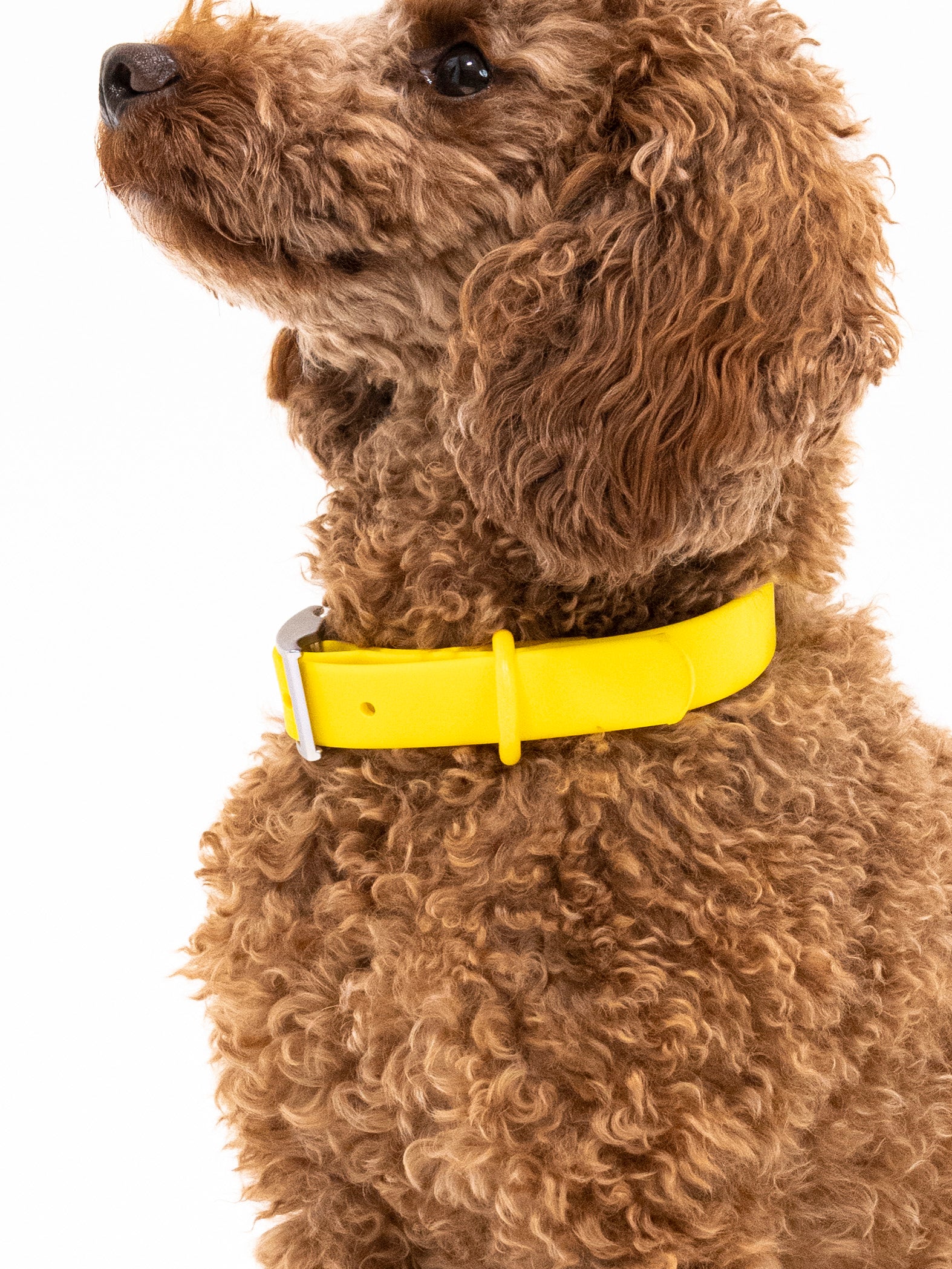 Sunny Soul Velvy Halsband Set