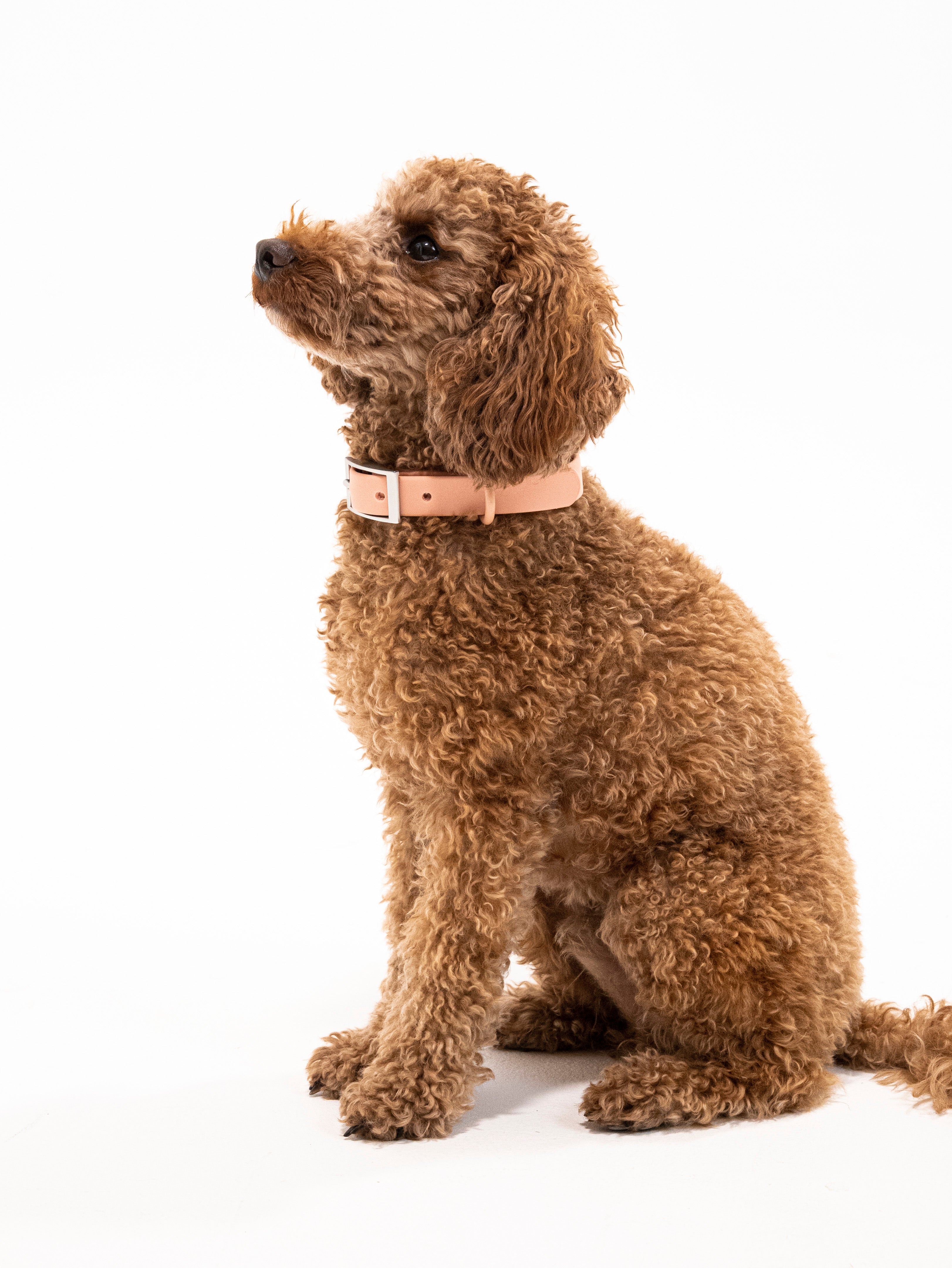 Pfirsich Velvy Halsband