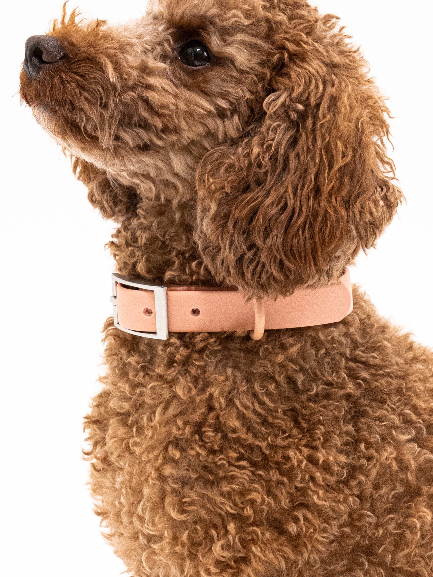 Pfirsich Velvy Halsband Set