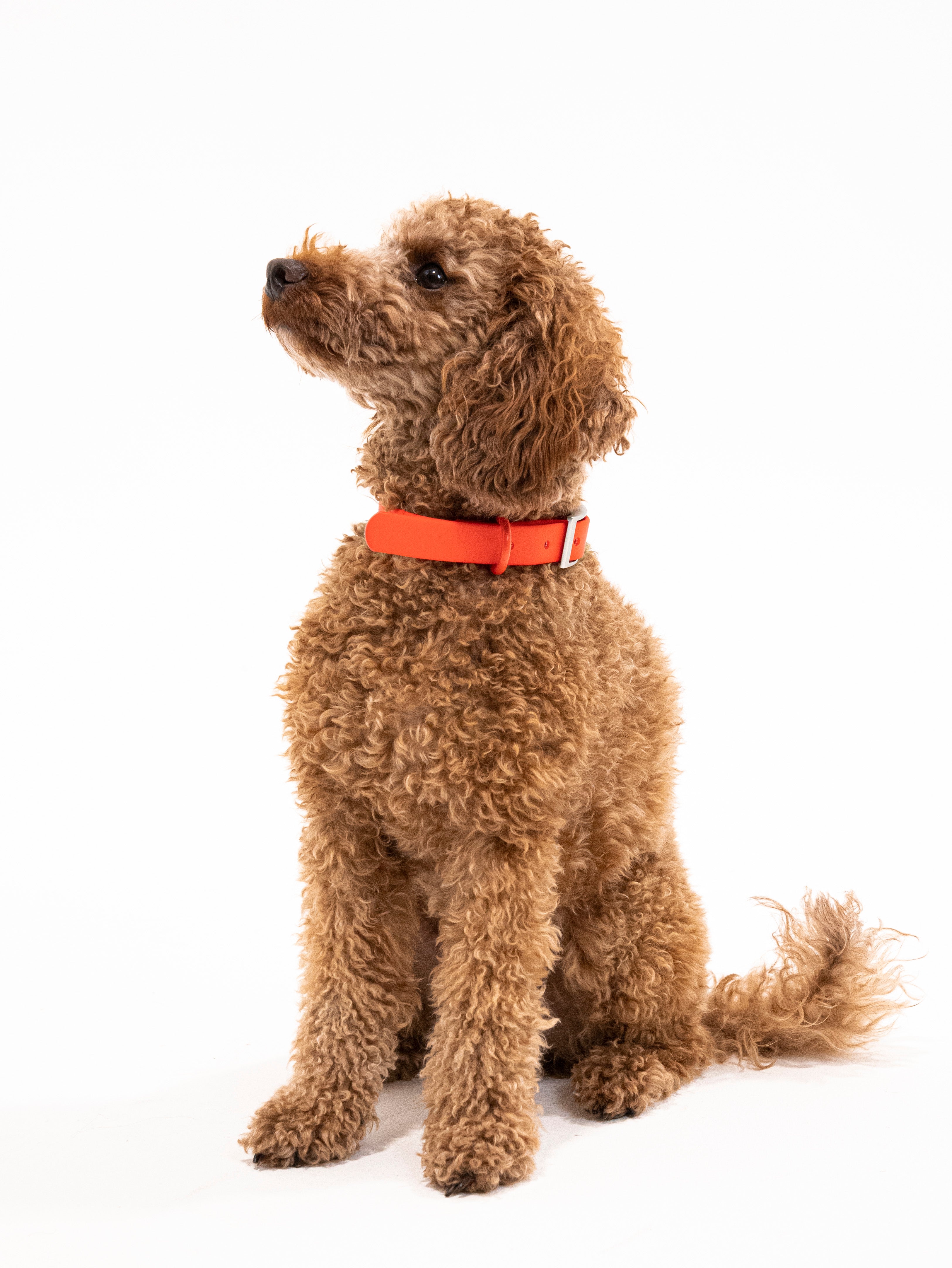 Berry Velvy Halsband