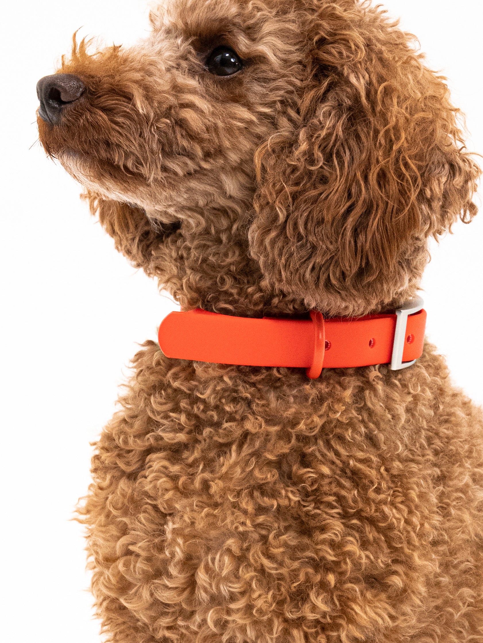 Berry Velvy Halsband