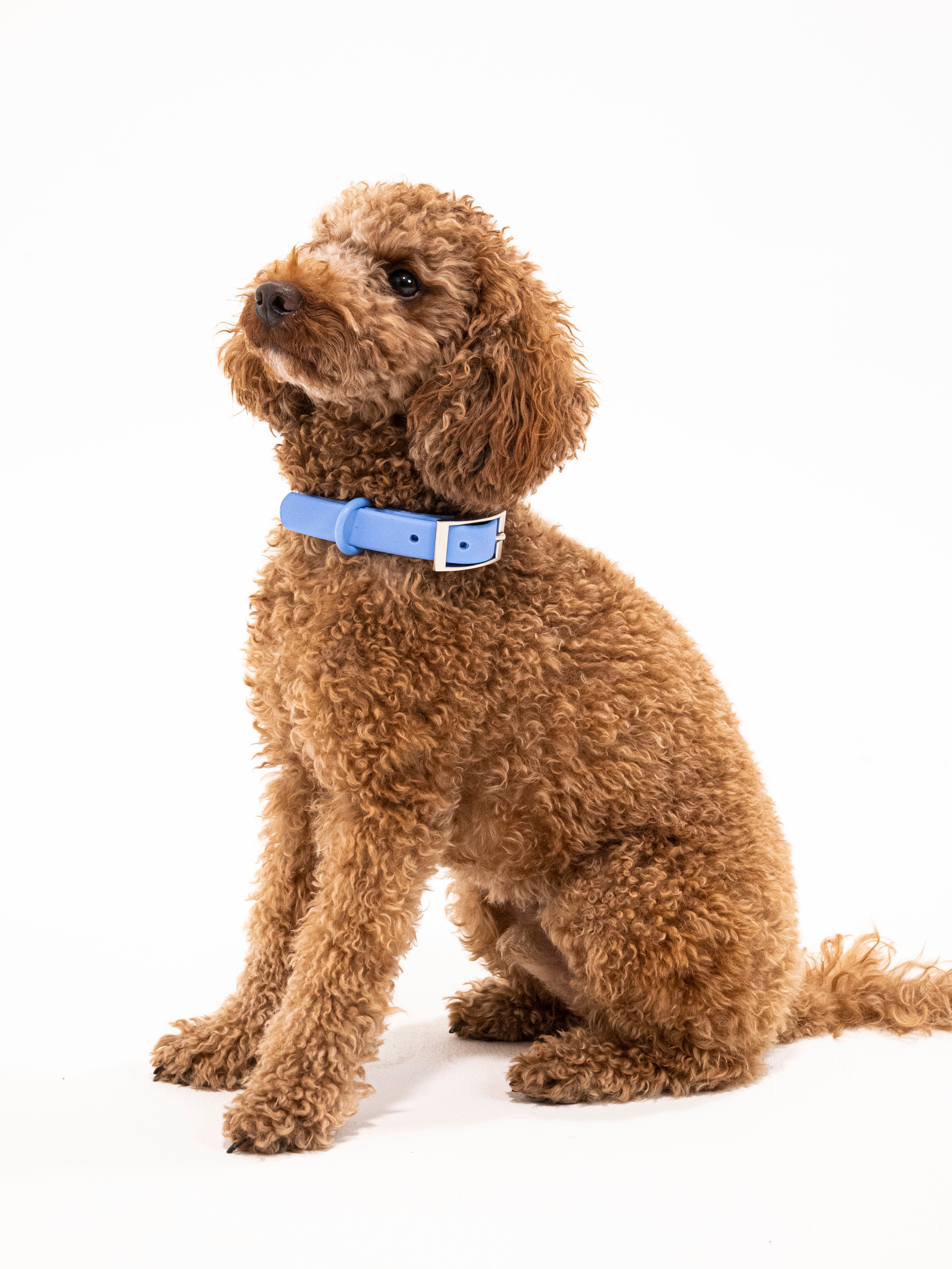 Nordwind Velvy Halsband