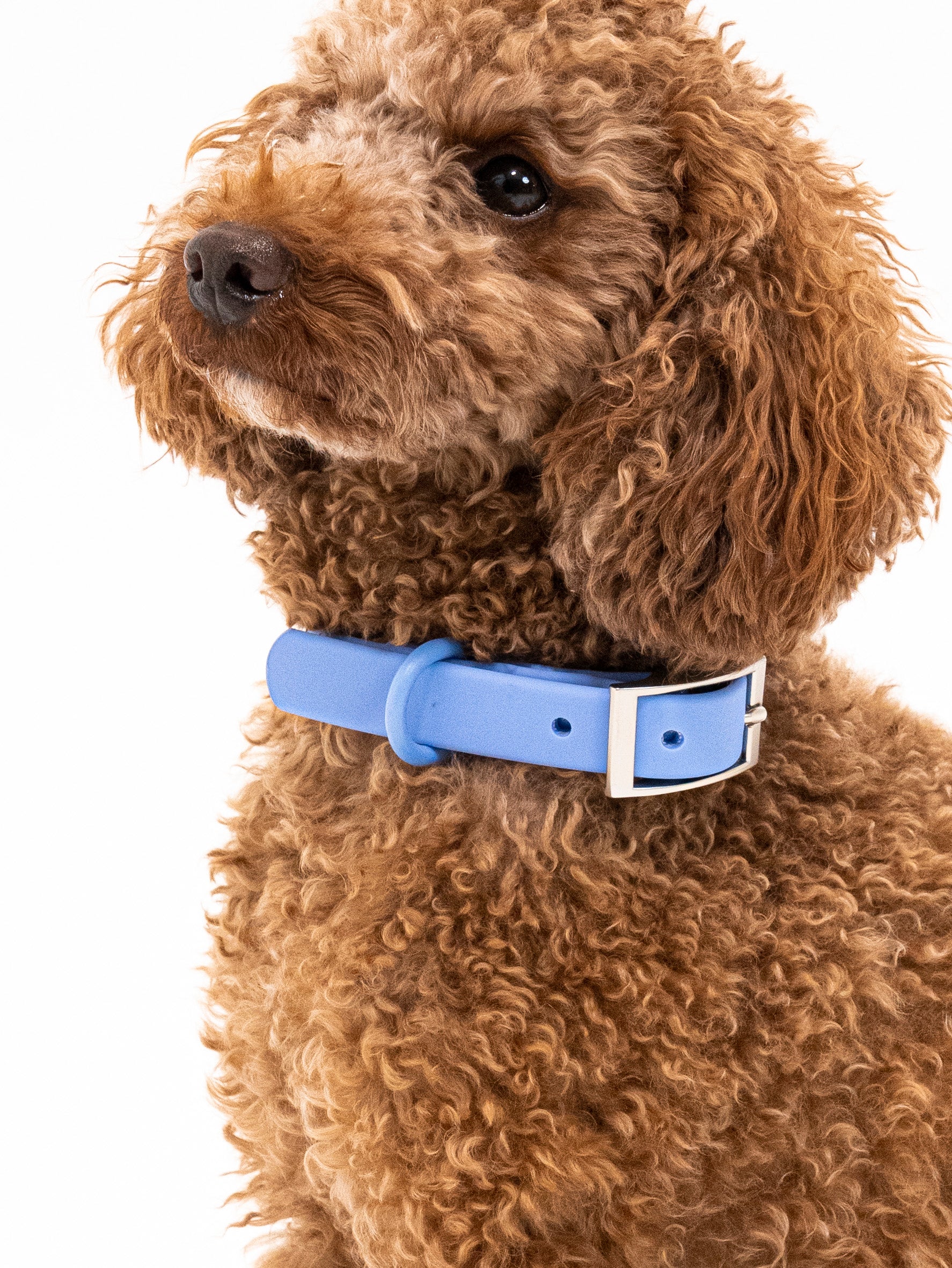 Nordwind Velvy Halsband