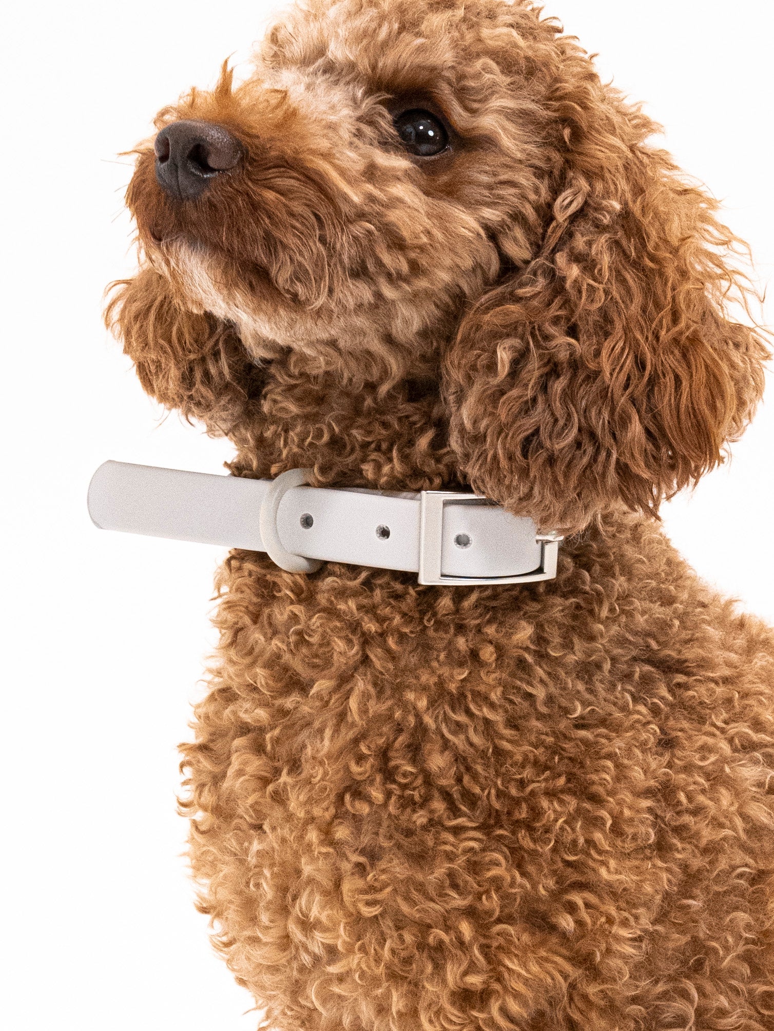 Graphit Velvy Halsband