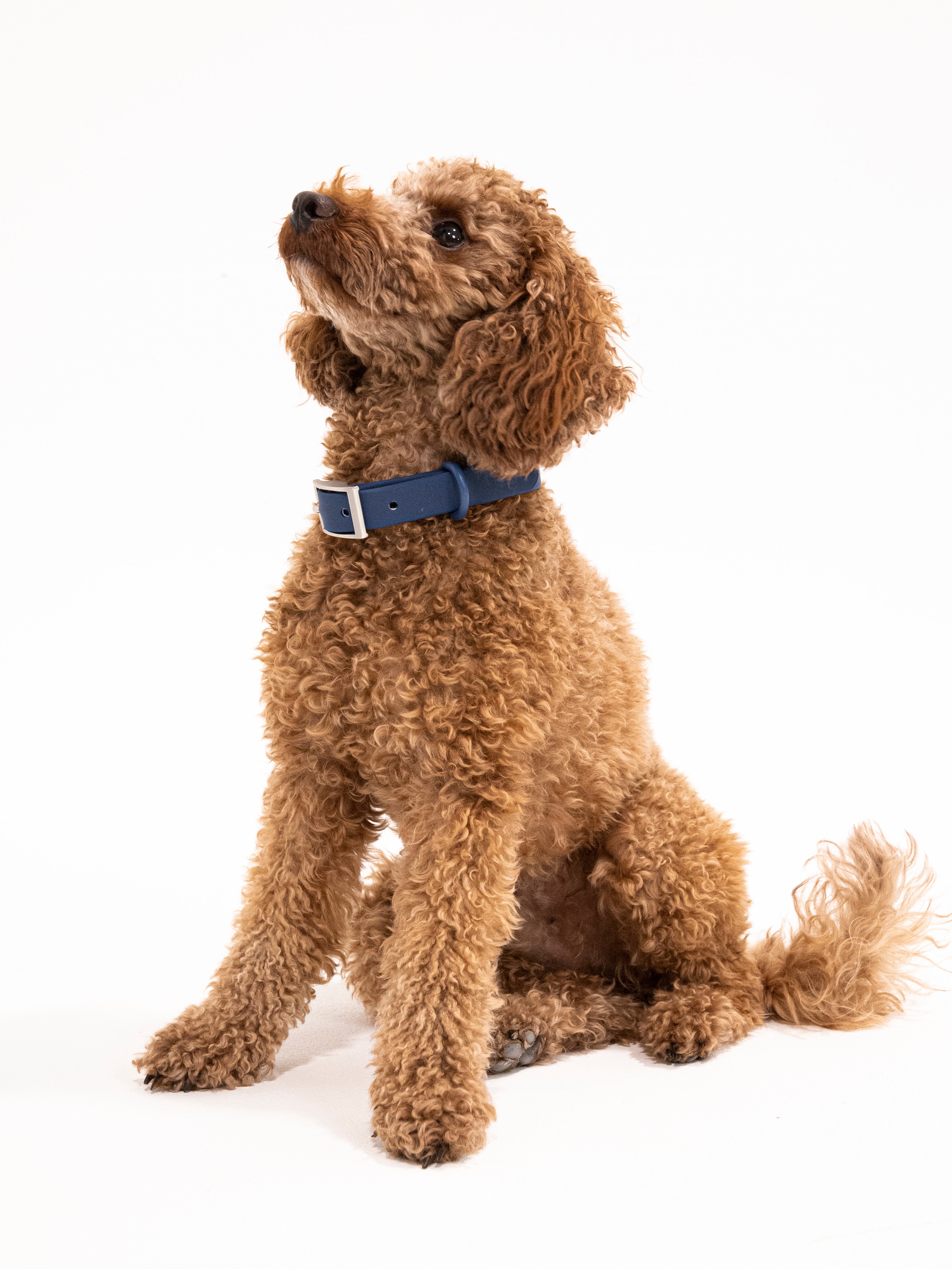 Navy Velvy Halsband Set