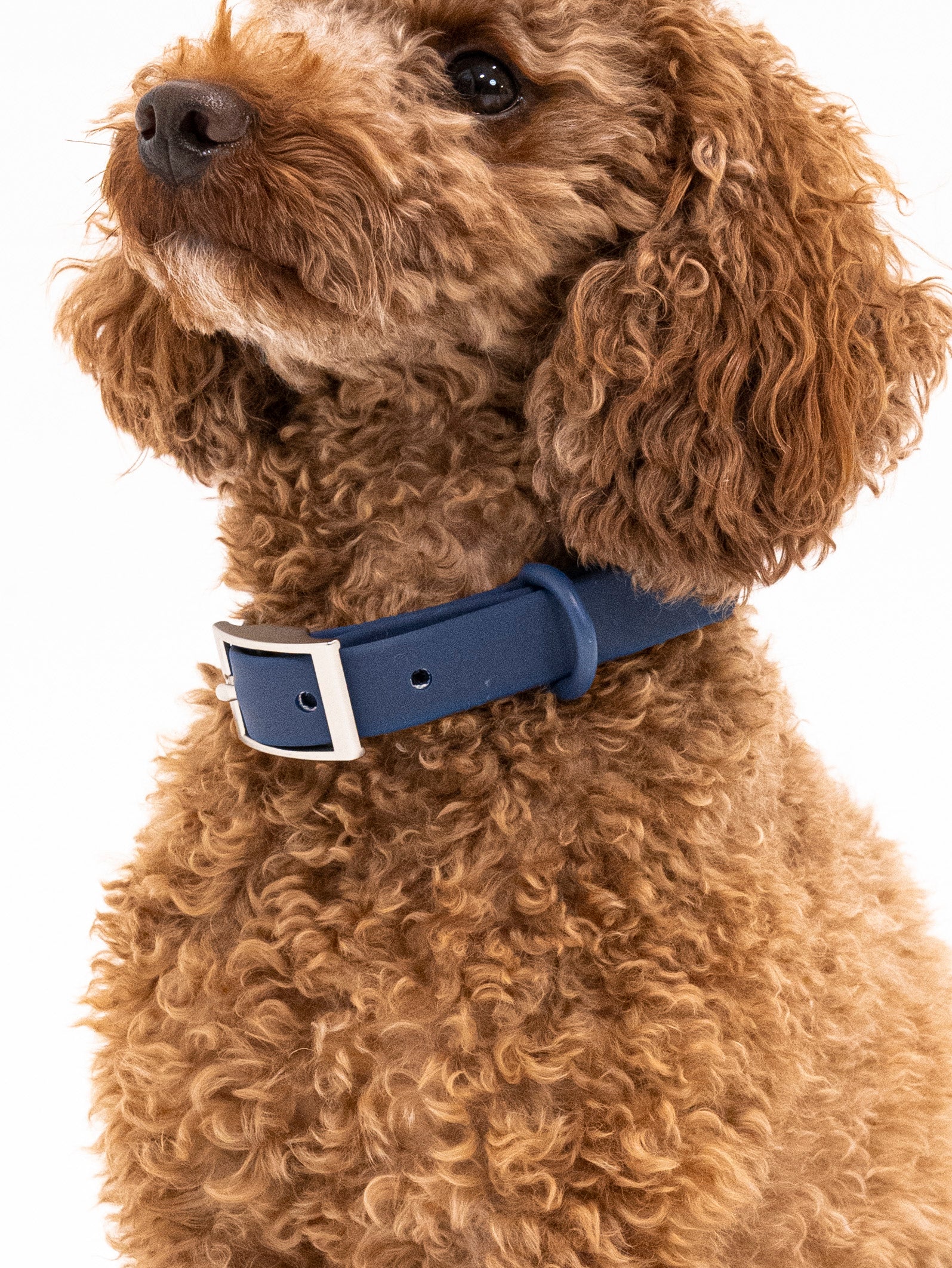 Navy Velvy Halsband Set