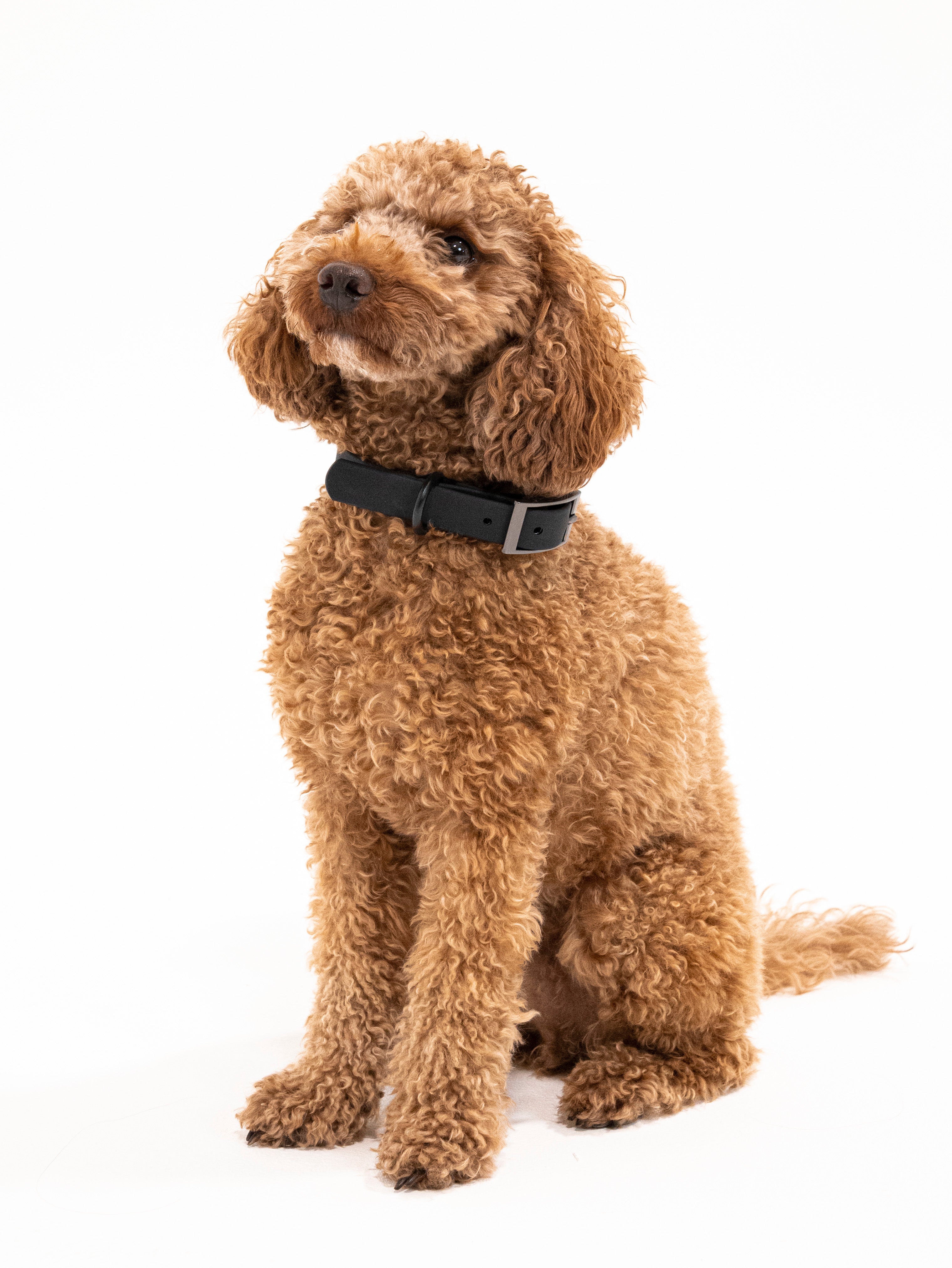 Midnight Velvy Halsband