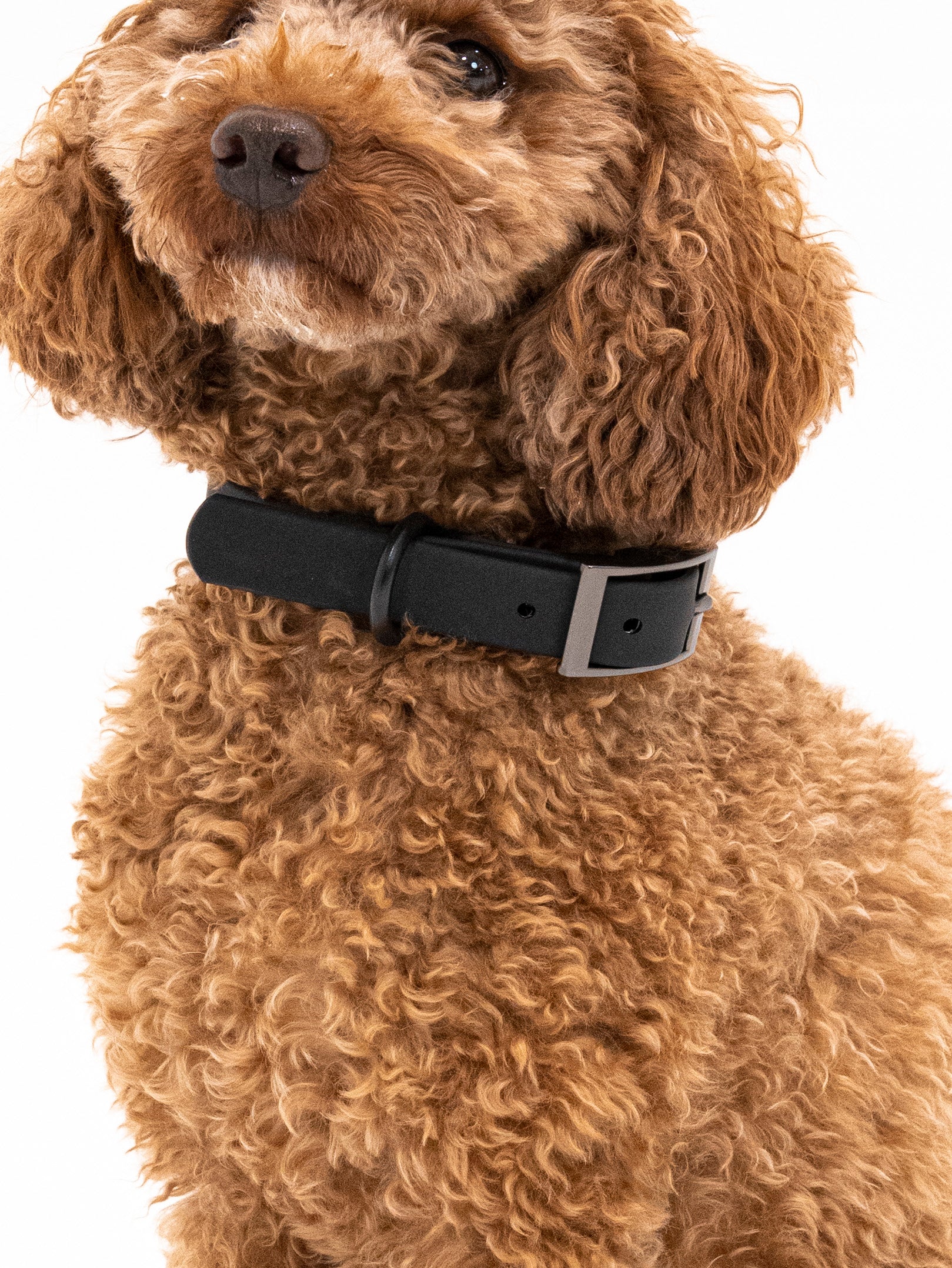 Midnight Velvy Halsband Set