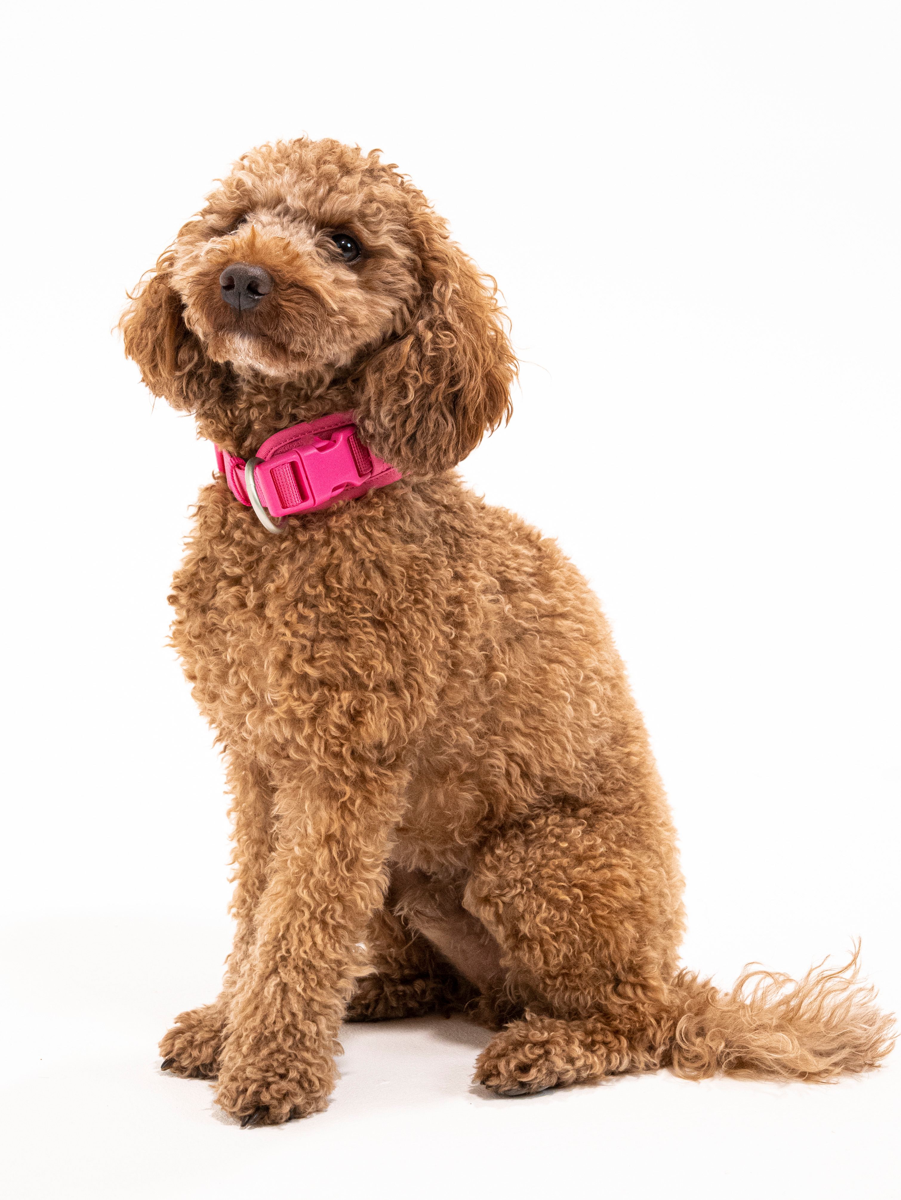 Pink Punch Cordélia Halsband