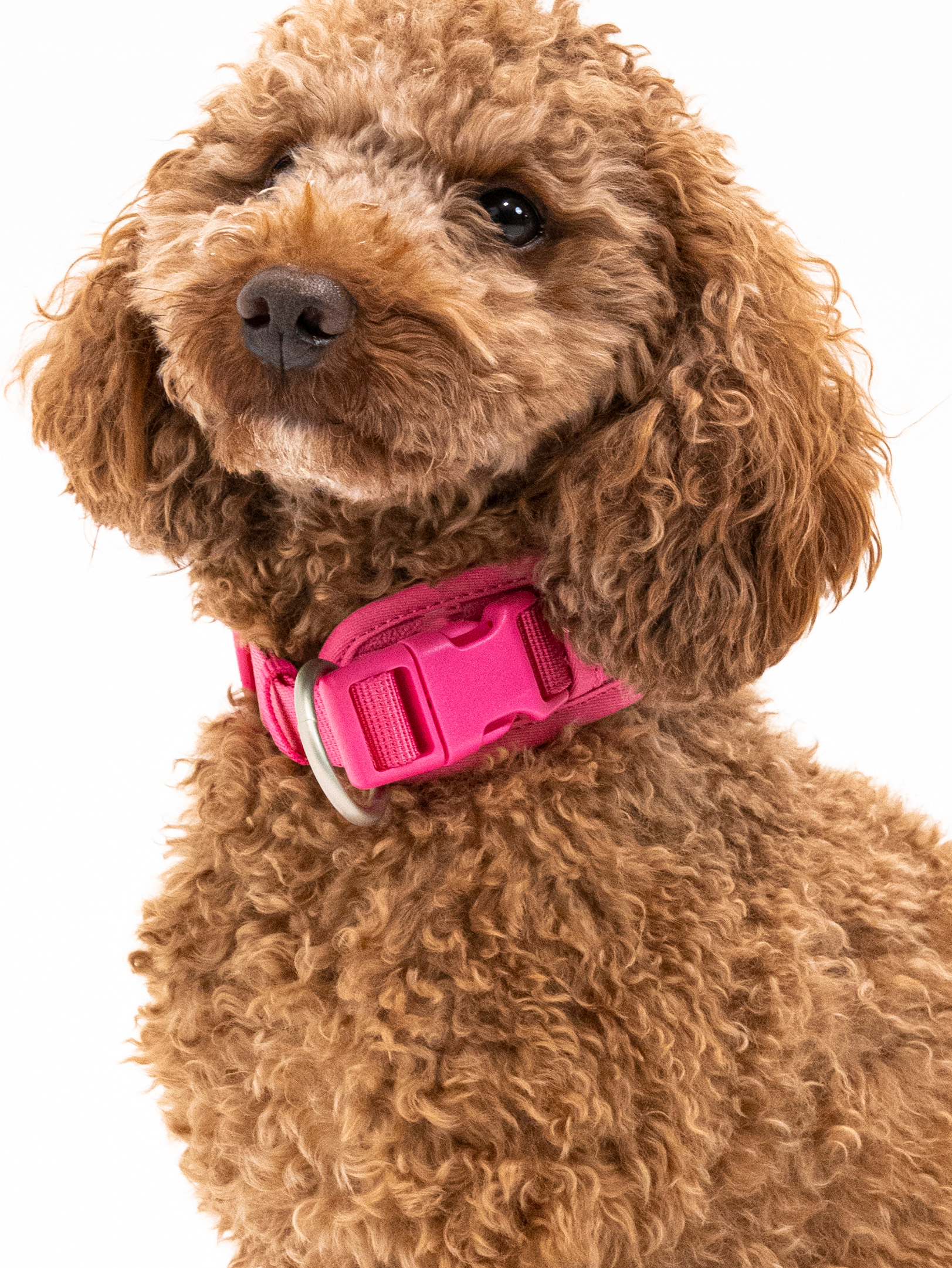 Pink Punch Cordélia Halsband