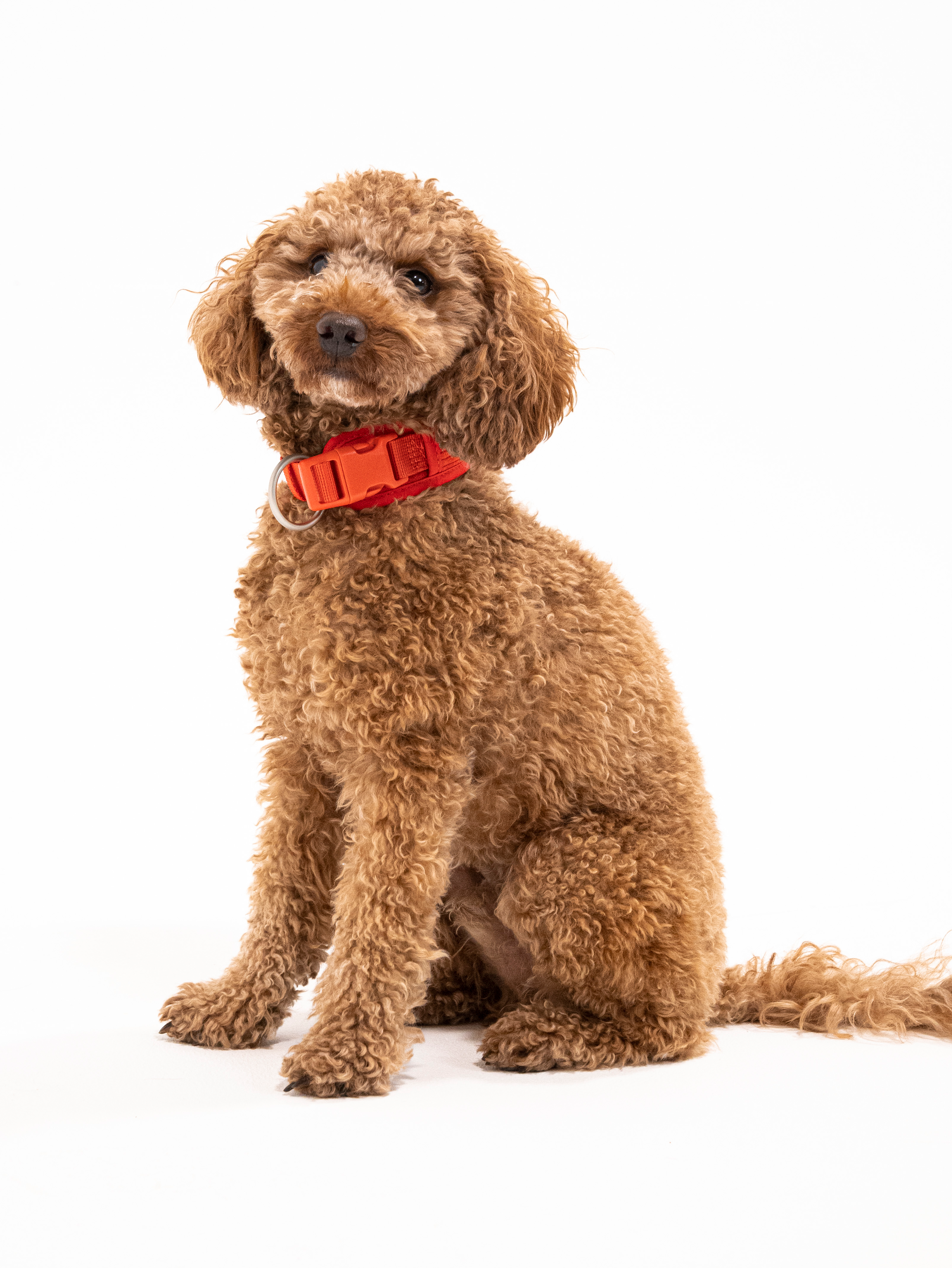 Berry Cordélia Halsband Set