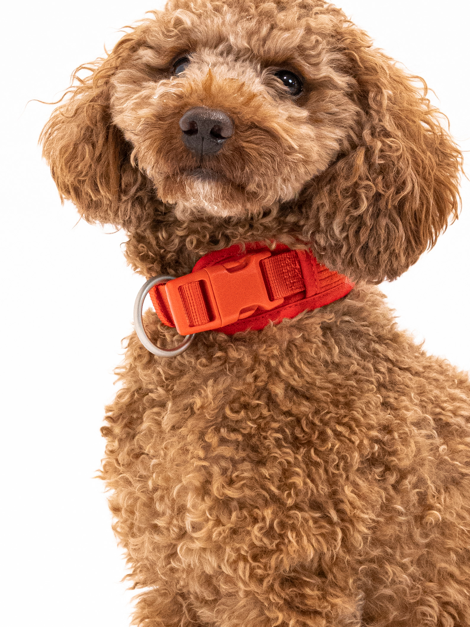 Berry Cordélia Halsband Set