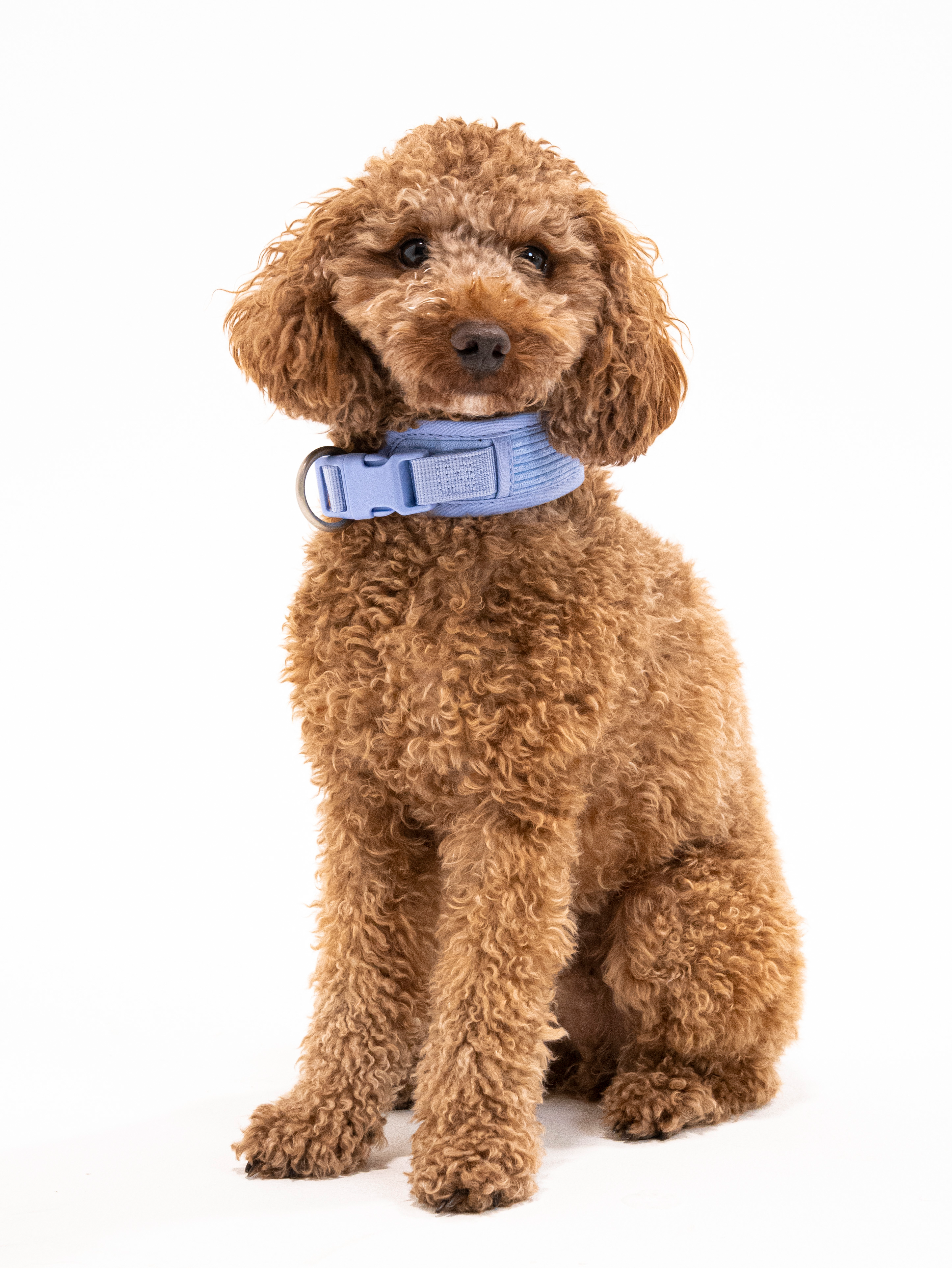 Lavendel Eis Cordélia Halsband