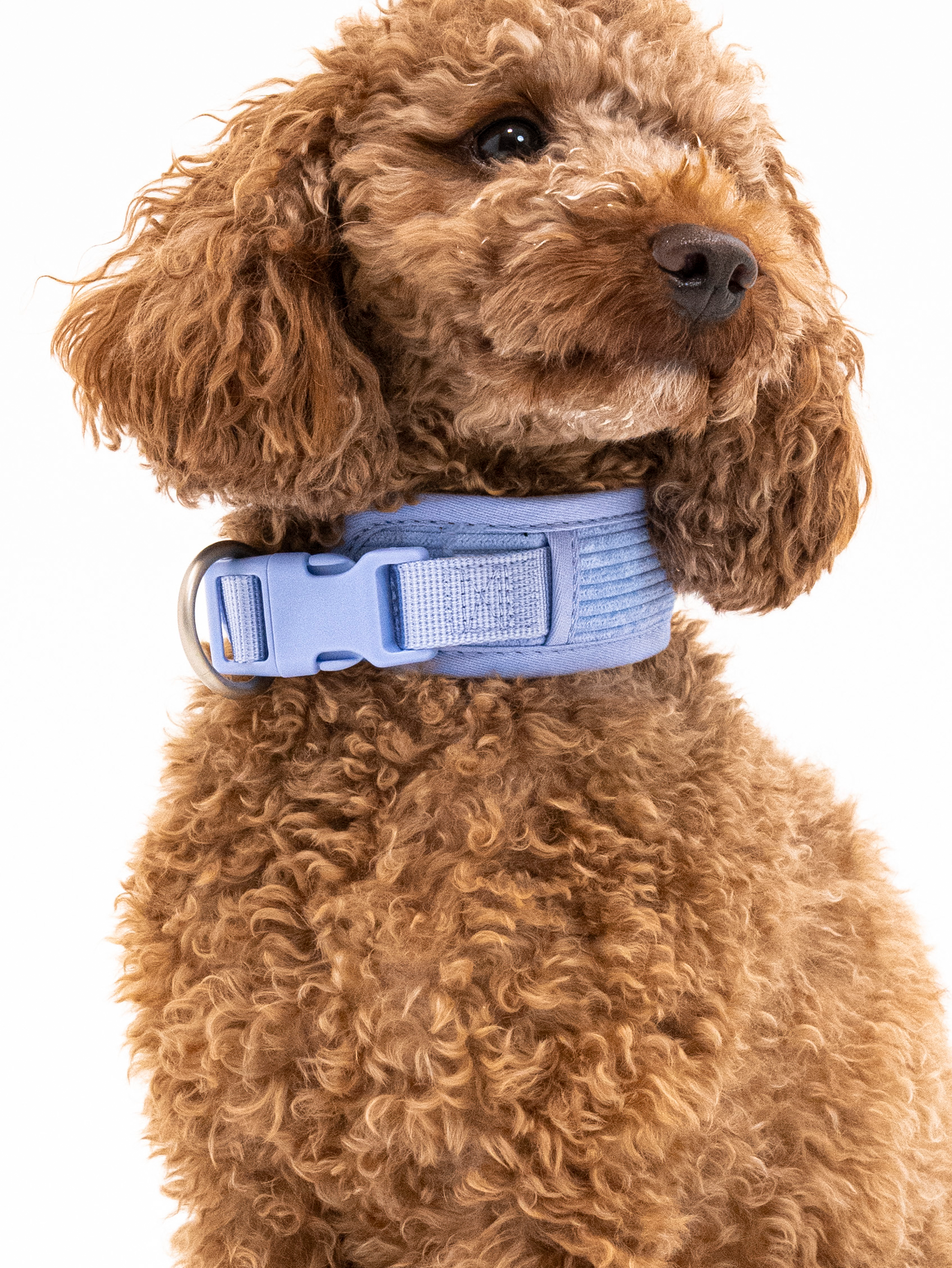 Lavendel Eis Cordélia Halsband