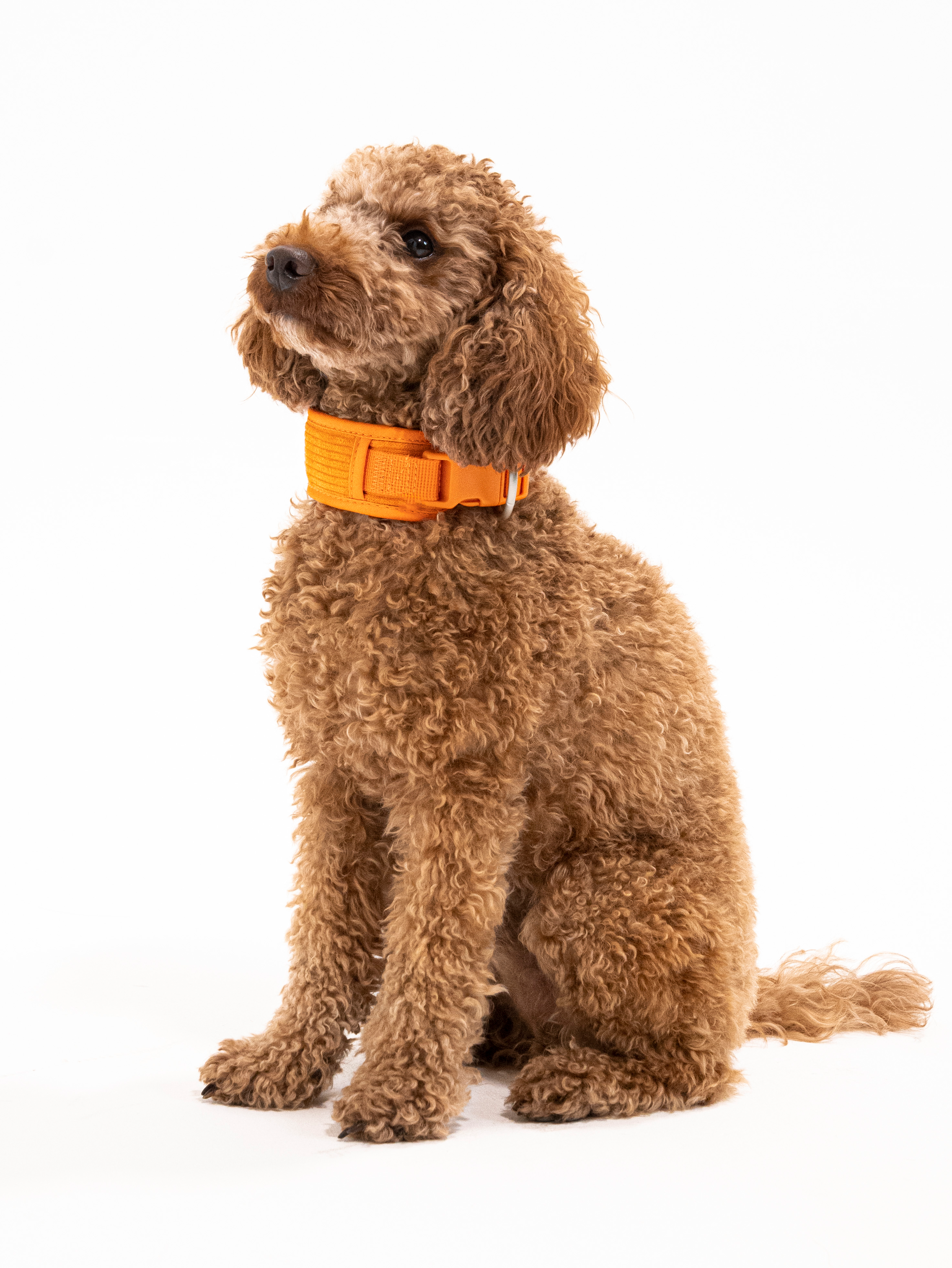 Aprikosenkuss Cordélia Halsband