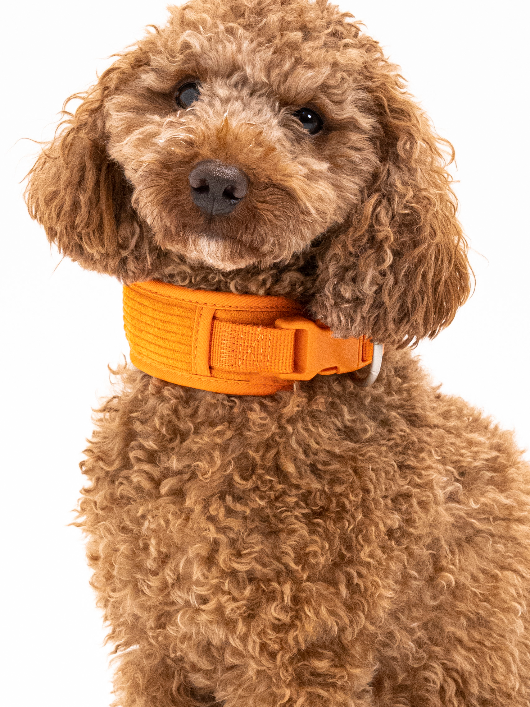 Aprikosenkuss Cordélia Halsband