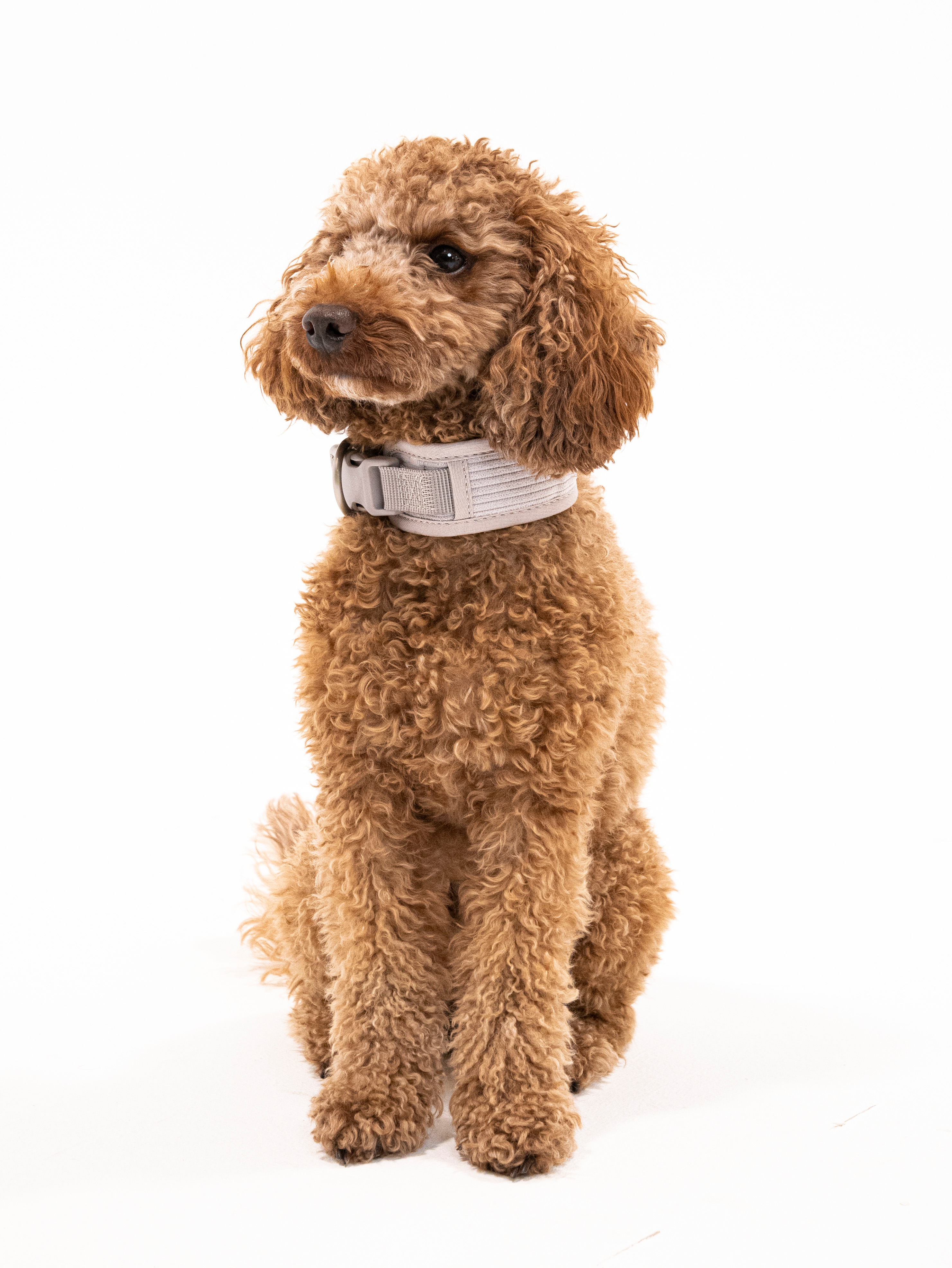 Eukalyptus Cordélia Halsband Set