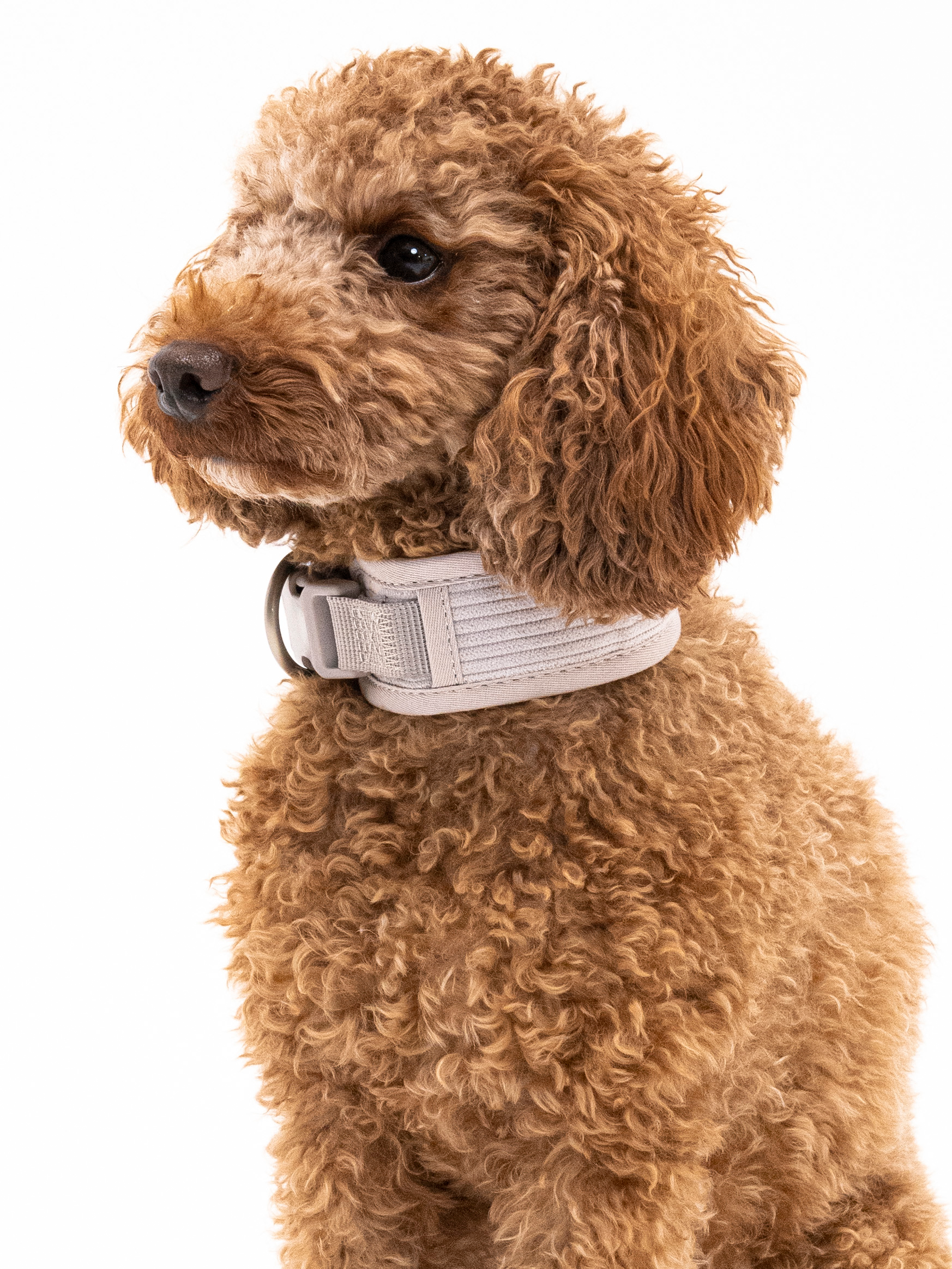 Eukalyptus Cordélia Halsband Set