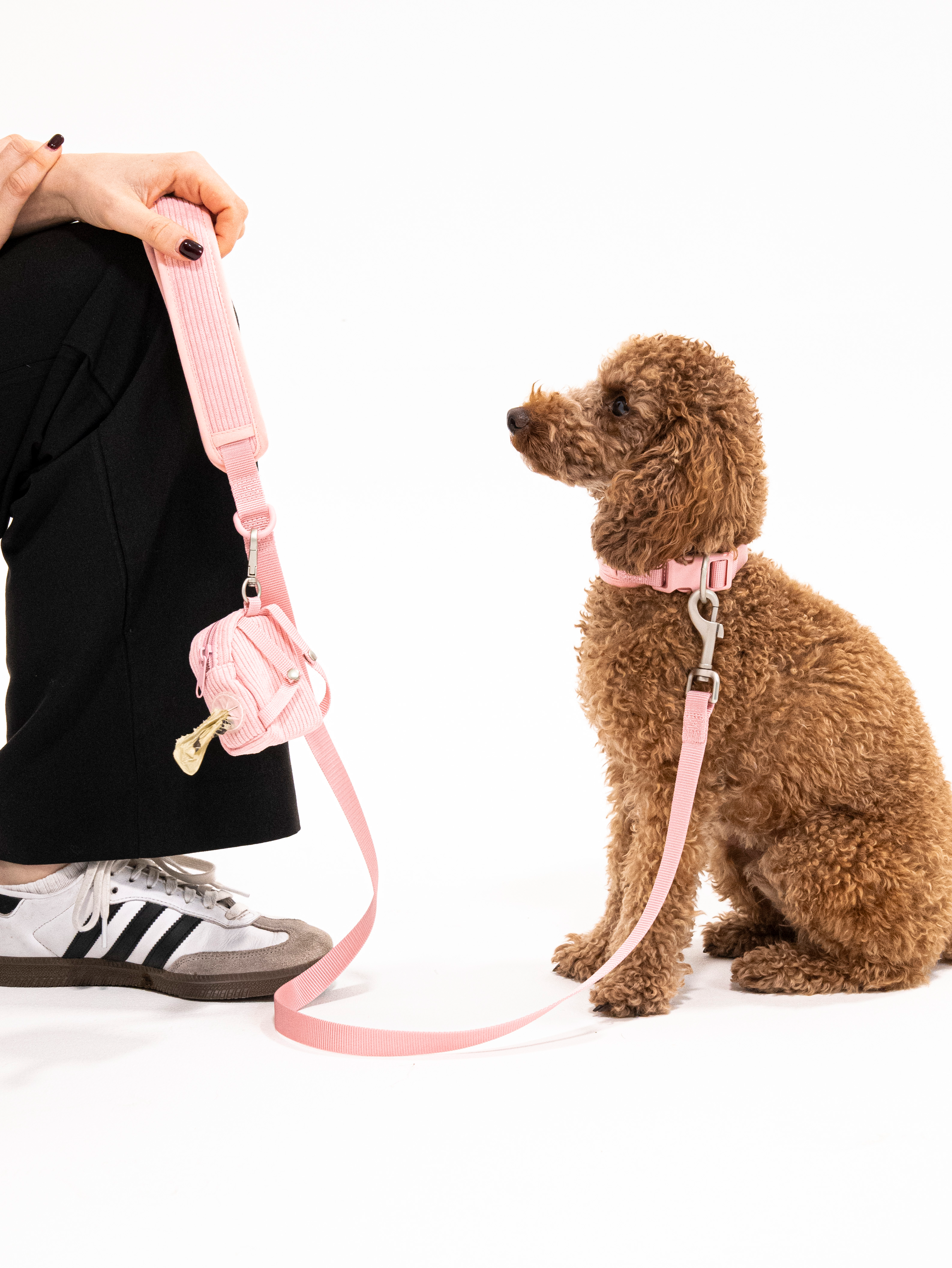 Rose Cordélia Halsband