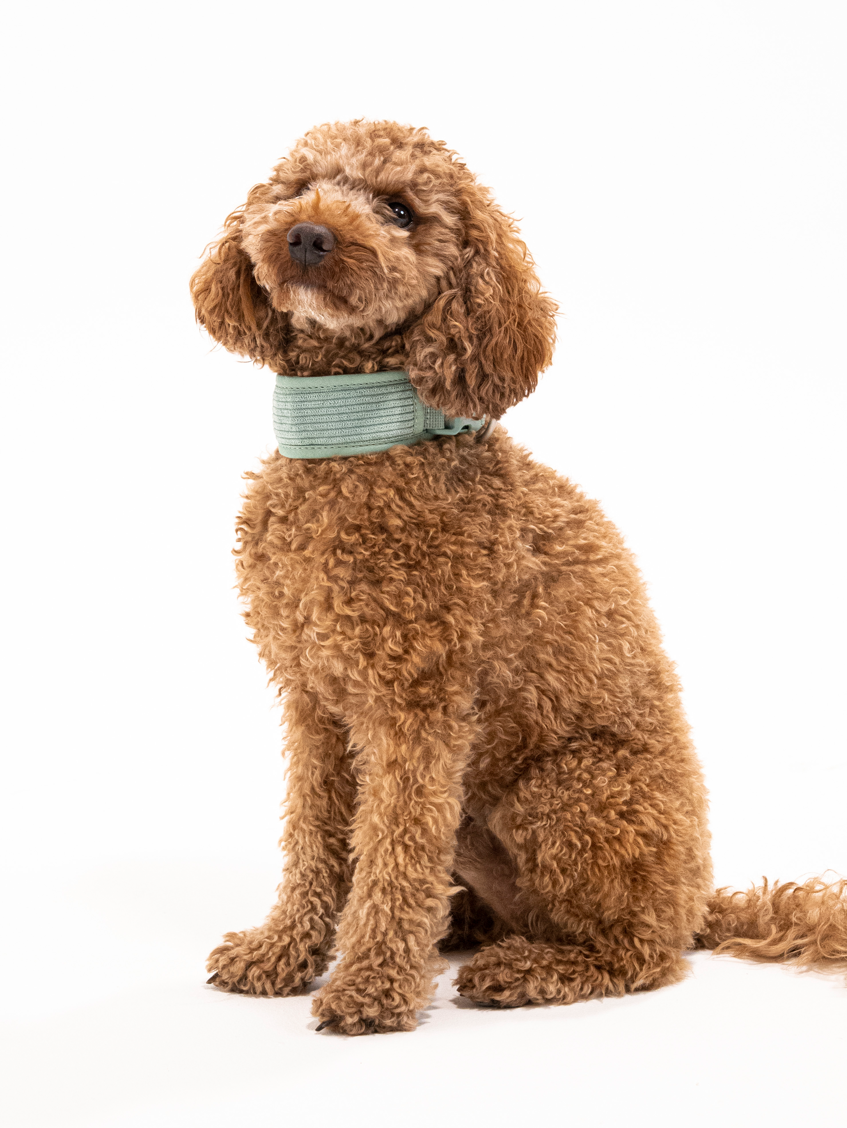 Matcha Grün Cordélia Halsband