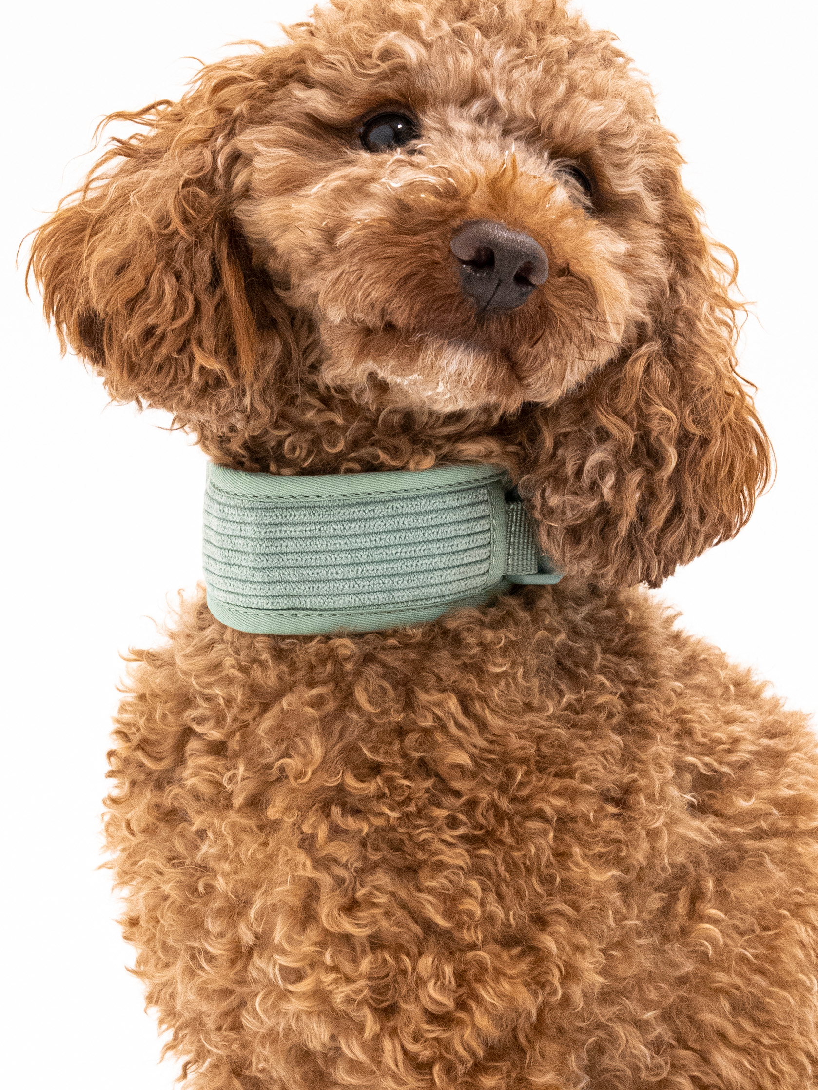 Matcha Grün Cordélia Halsband