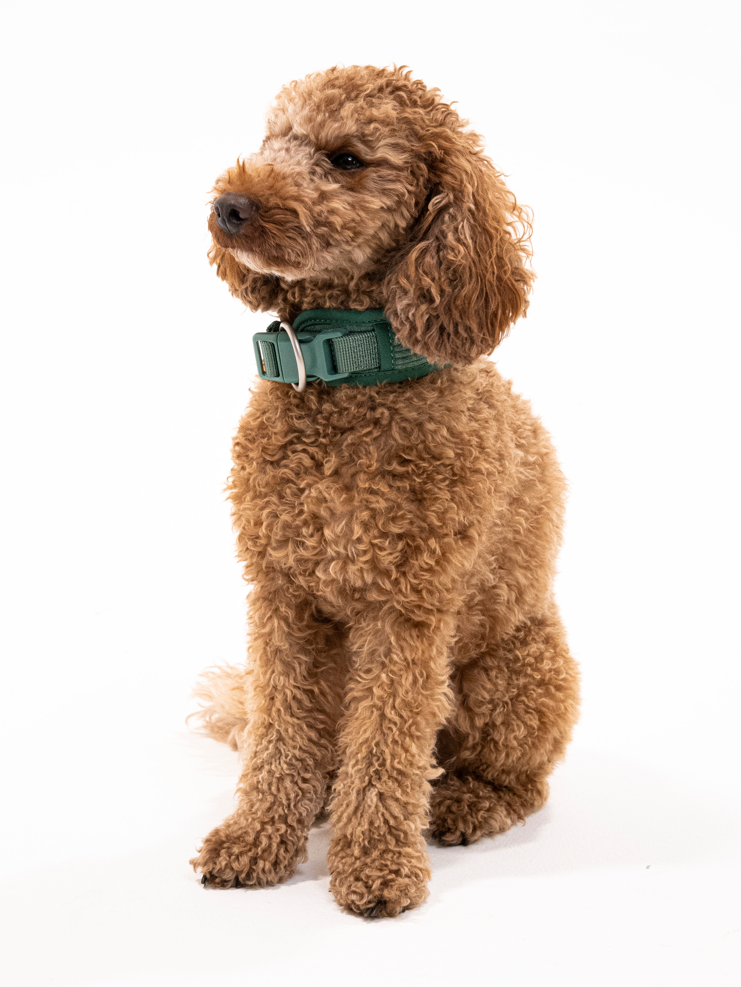 Tannenzauber Cordélia Halsband Set