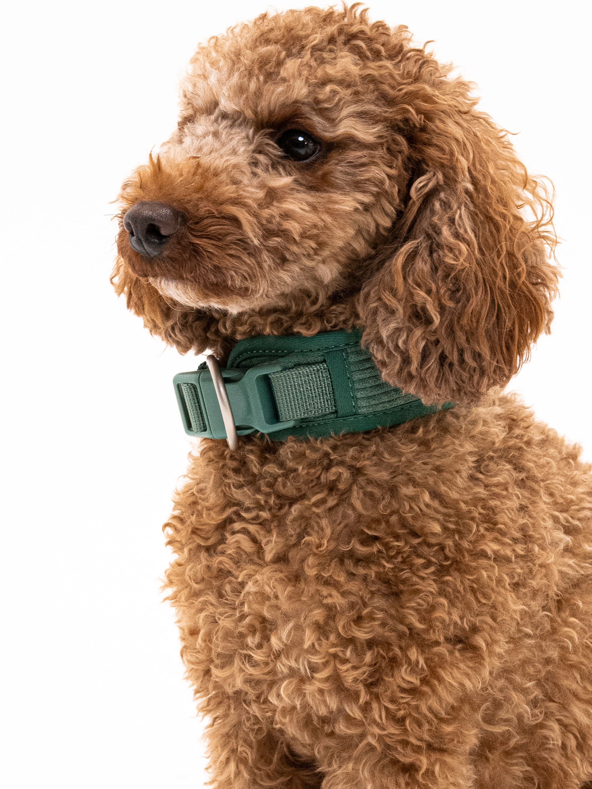 Tannenzauber Cordélia Halsband Set