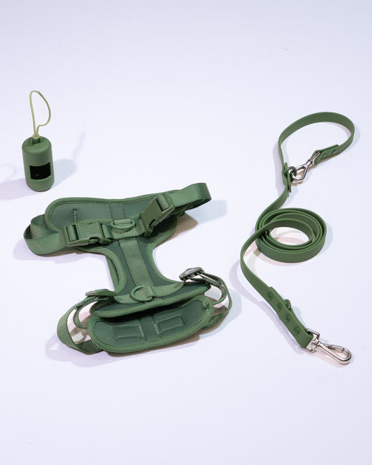 Waldpfote Velvy Geschirr Set