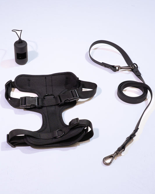 Midnight Velvy Geschirr Set