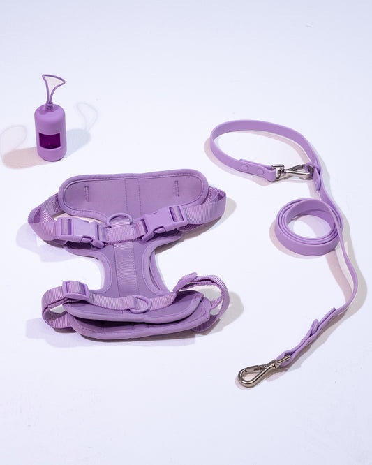 Lavendeltraum Velvy Geschirr Set