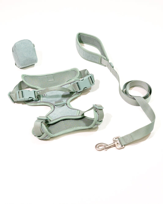 Matcha Grün Cordélia Geschirr Set