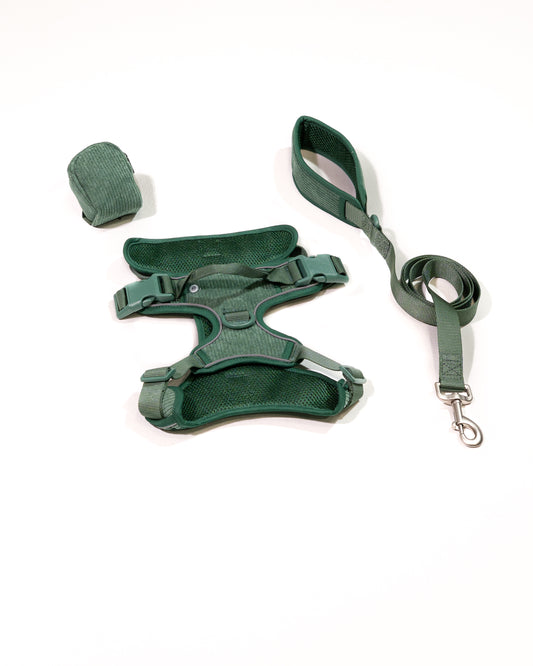 Tannenzauber Cordélia Geschirr Set