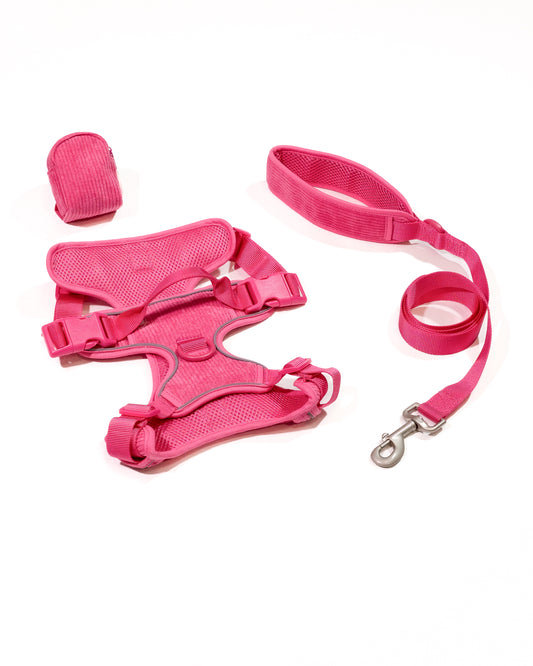 Pink Punch Cordélia Geschirr Set