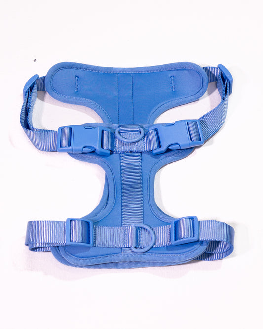 Nordwind Velvy Geschirr