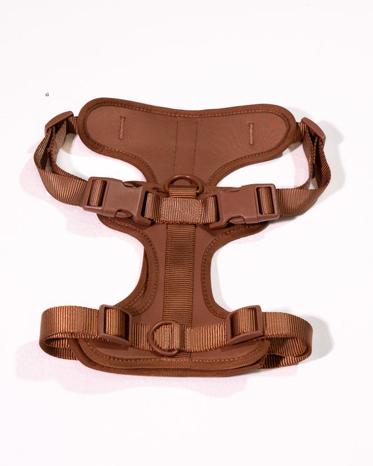 Zimtpfote Velvy Geschirr