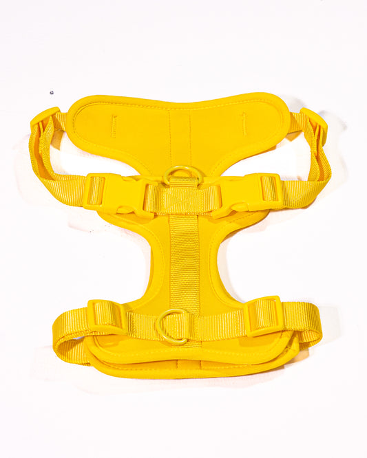 Sunny Soul Velvy Geschirr