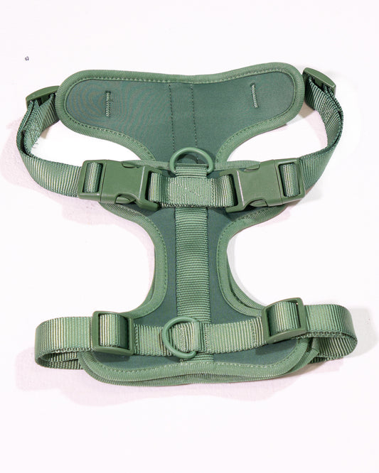 Waldpfote Velvy Geschirr